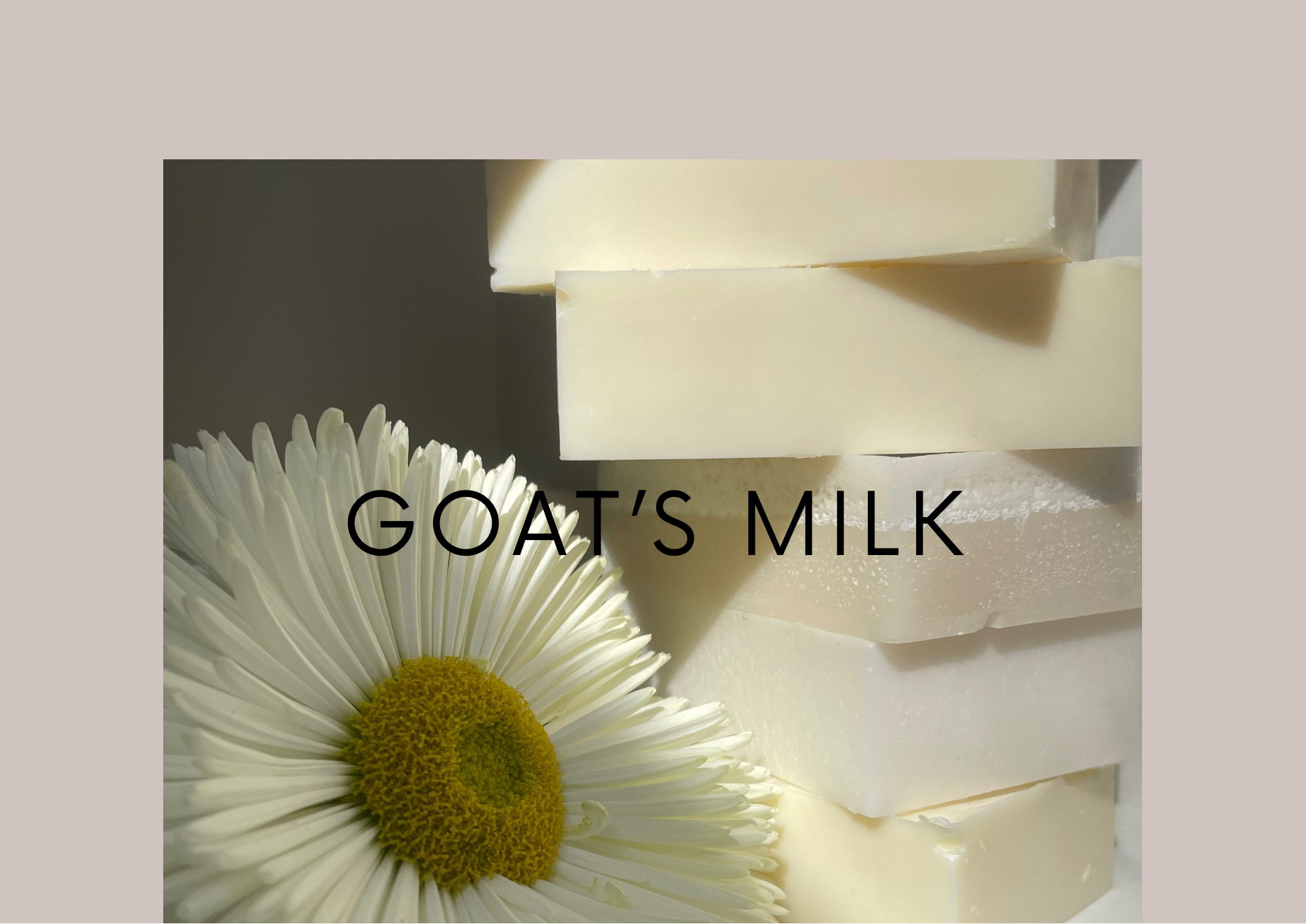 Goat's Milk Bar