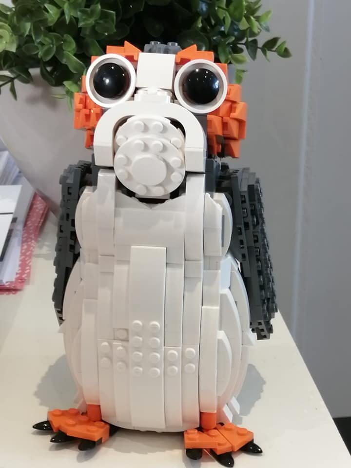87479811_199857808085383_1254445636607016960_n.jpg