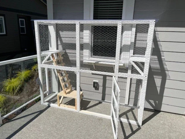 catio2.jpg