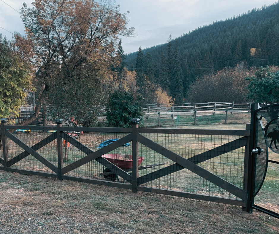 fence2[1].png