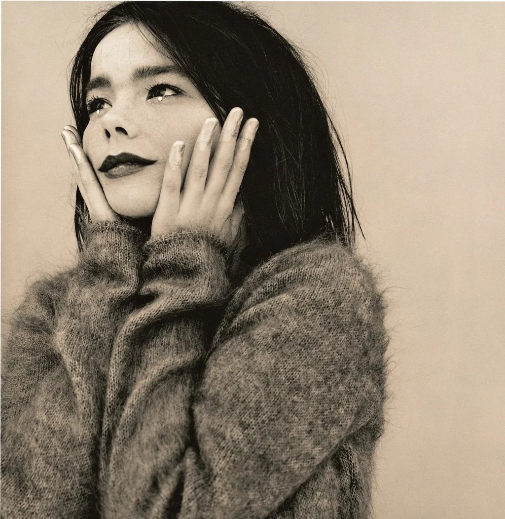 Building the Perfect Artist Bio – using Björk as an example