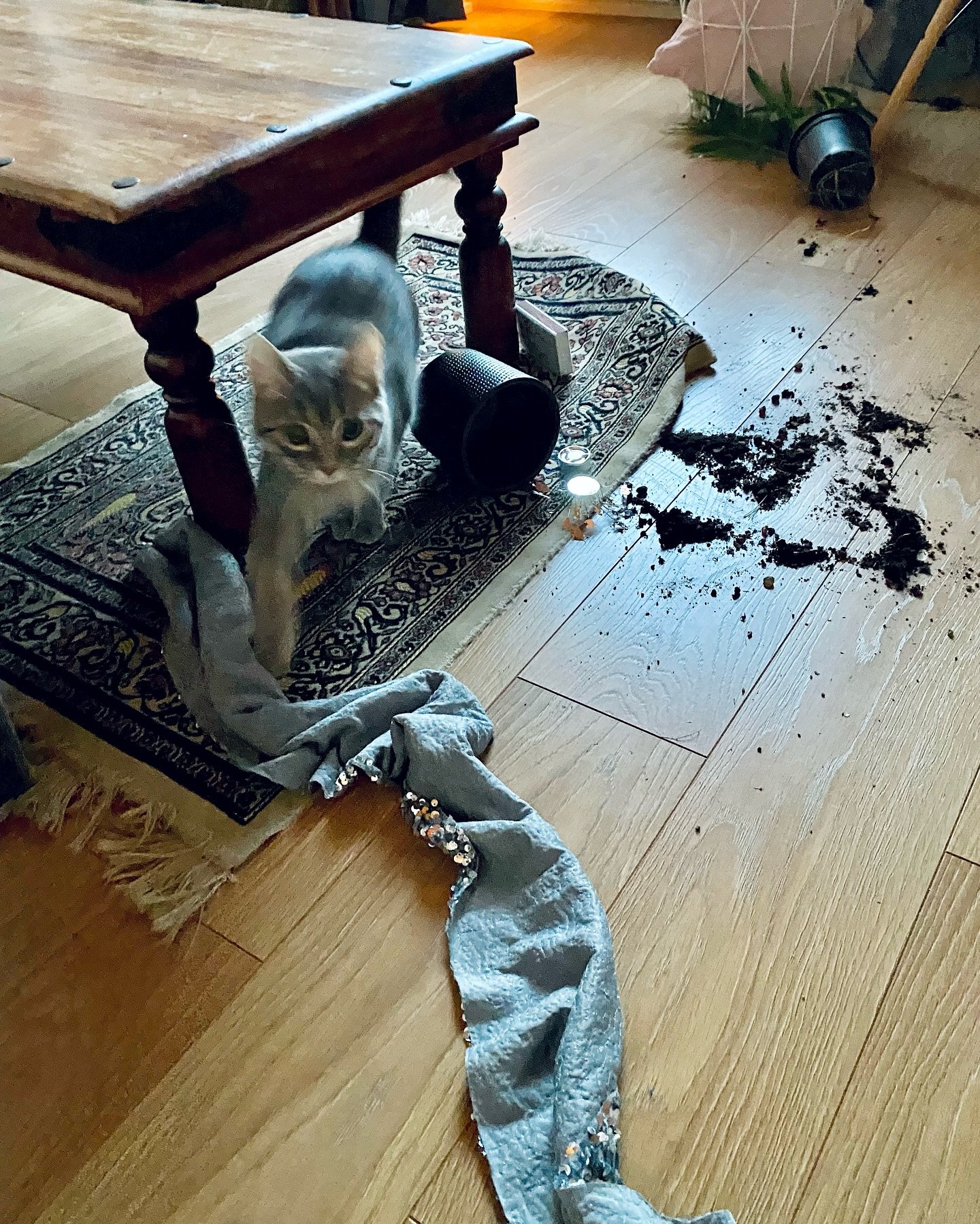 gle&eth;ilegrar vetrars&oacute;lst&ouml;&eth;ur &ndash; n&uacute; m&aacute; s&oacute;lin koma 🌅