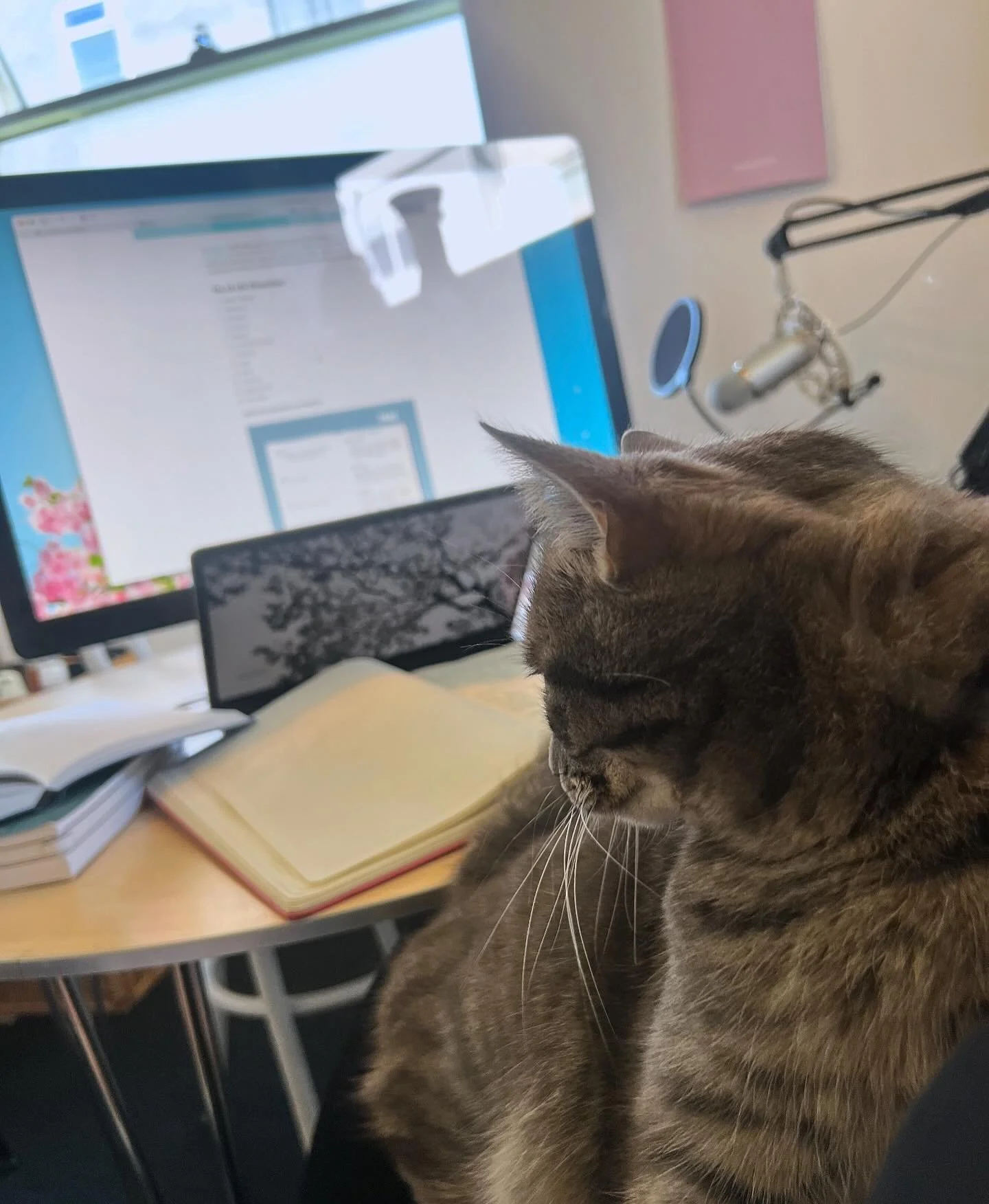 home office 📝✨🍁