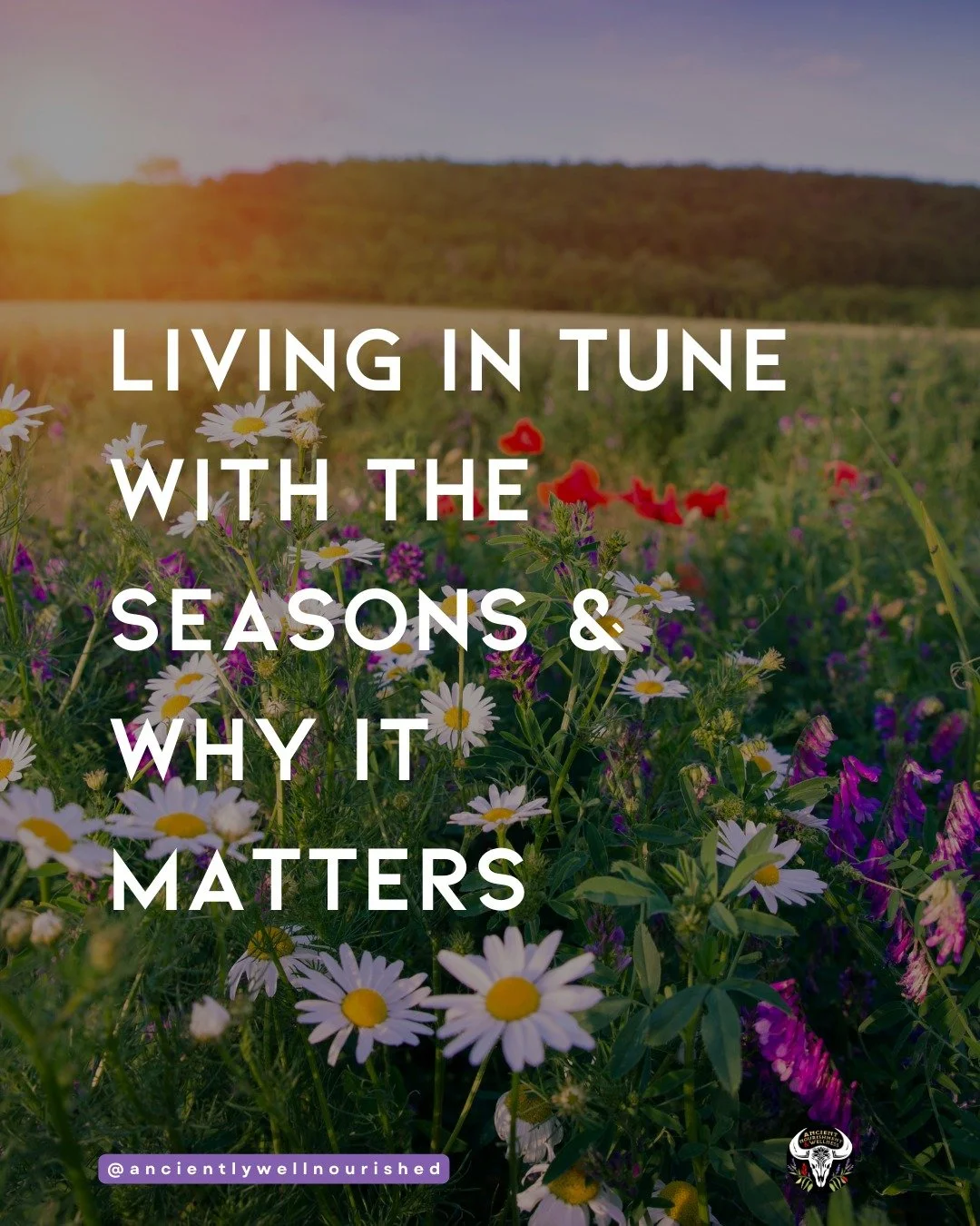 Nature doesn&rsquo;t rush and neither did our ancestors.

For thousands of years, humans lived by the steady rhythm of the seasons. 

Each shift in weather brought a shift in food, movement, and daily rituals not just for survival, but for harmony.

