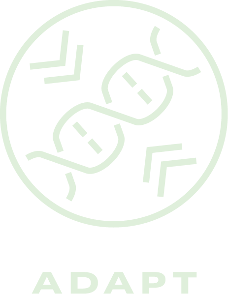 adapt icon