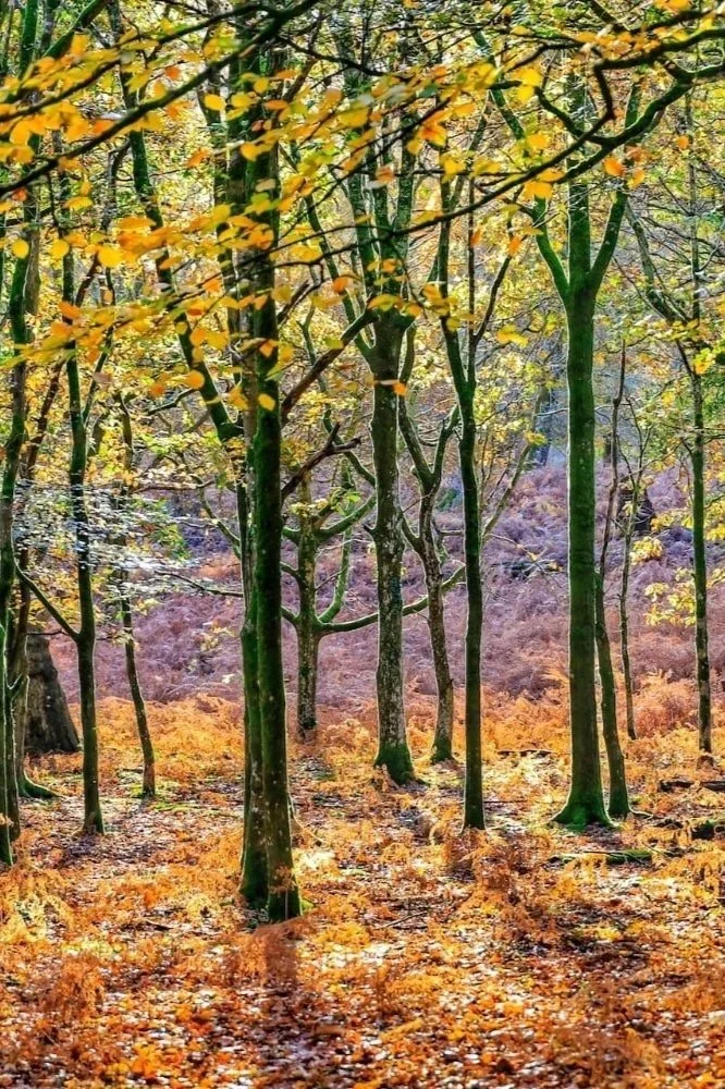 Summer’s over — how did your Holiday Let do this year?