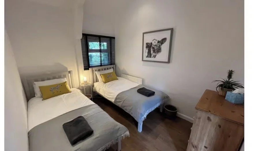 A cozy bedroom with two white beds, each with yellow decorative pillows, a nightstand with a lamp, a window with blinds, a framed picture of a cow on the wall, a wooden dresser with a potted plant and tissue box, and a small trash can on the floor.