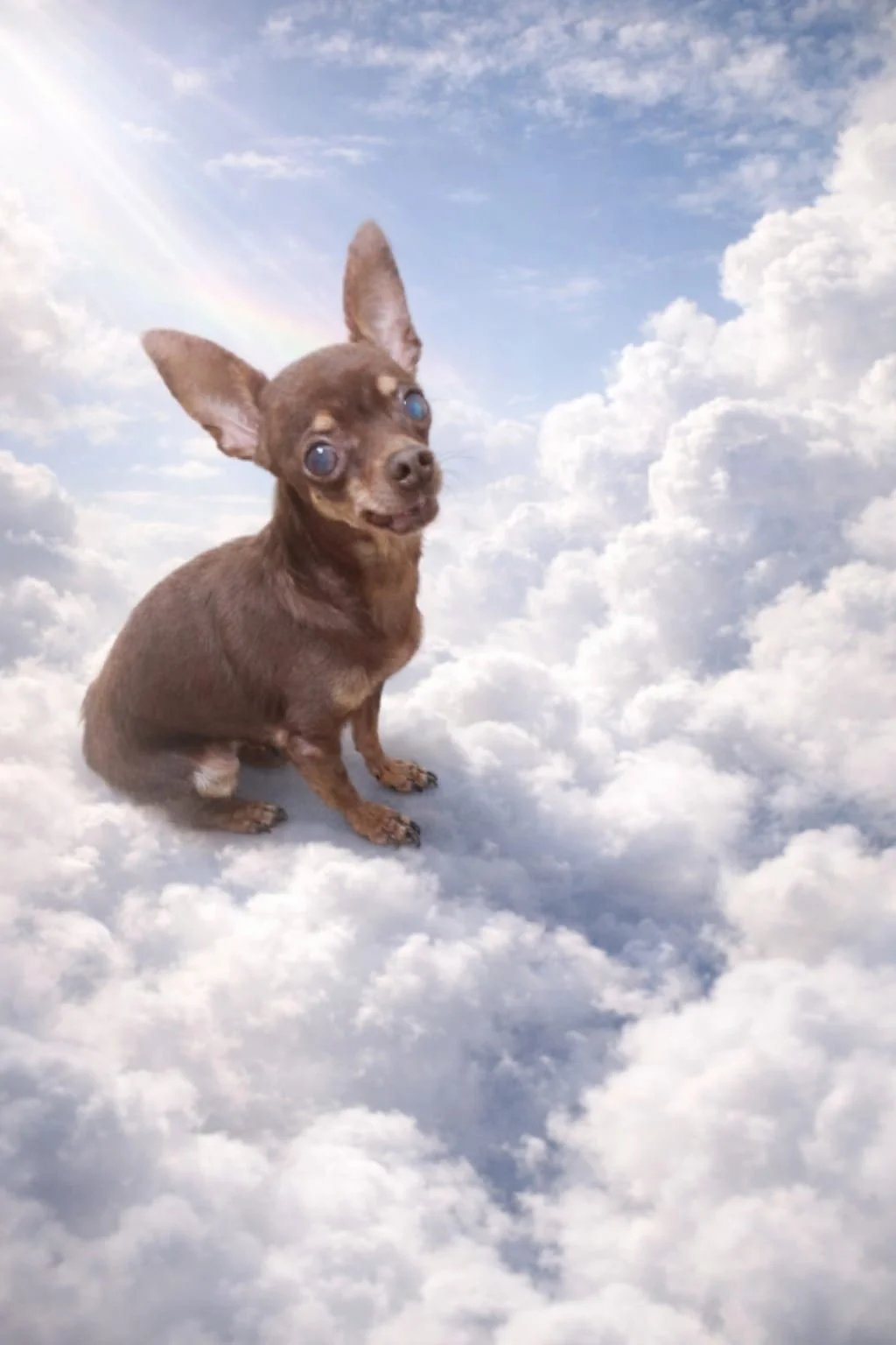 Kiara:  Si tu supieras la falta que me haces, ya nada es igual sin ti... aun cierro los ojos y te veo junto a mi como cuando eras bebe. te extraño mi nena preciosa , Siempre te voy a llevar en mi corazon