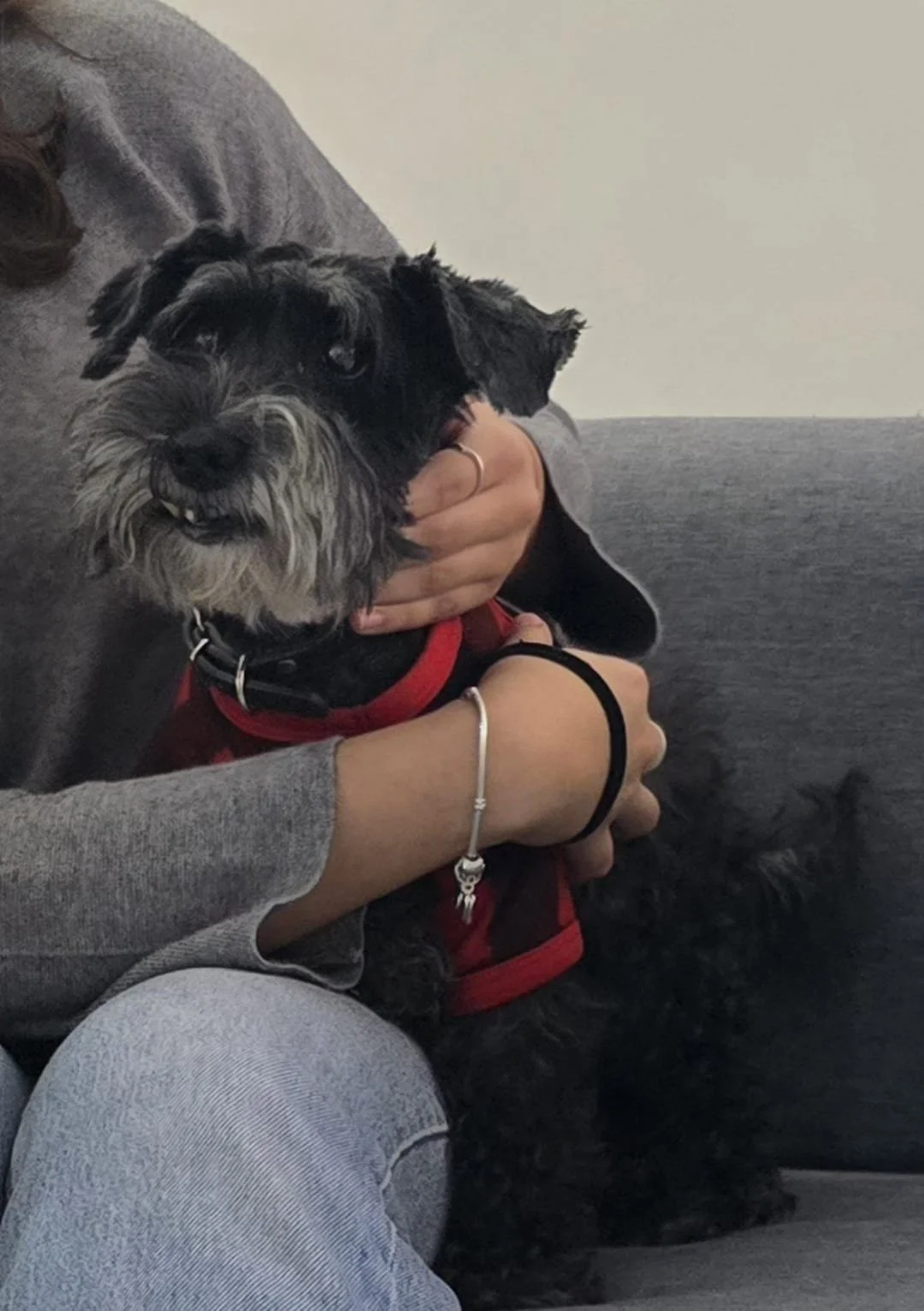 
Gracias por ser una hermosa compañera, gracias por estos 14 años de tu amor y compañía, te amamos Kitty