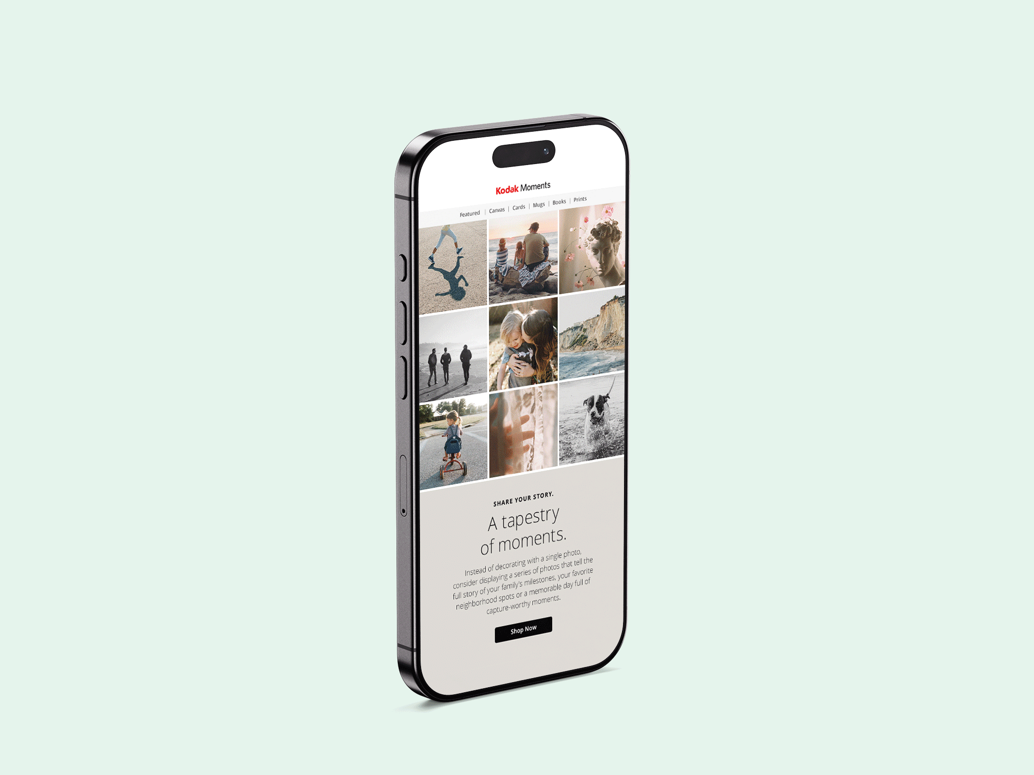 Kodak Moments Email + Social Media Marketing