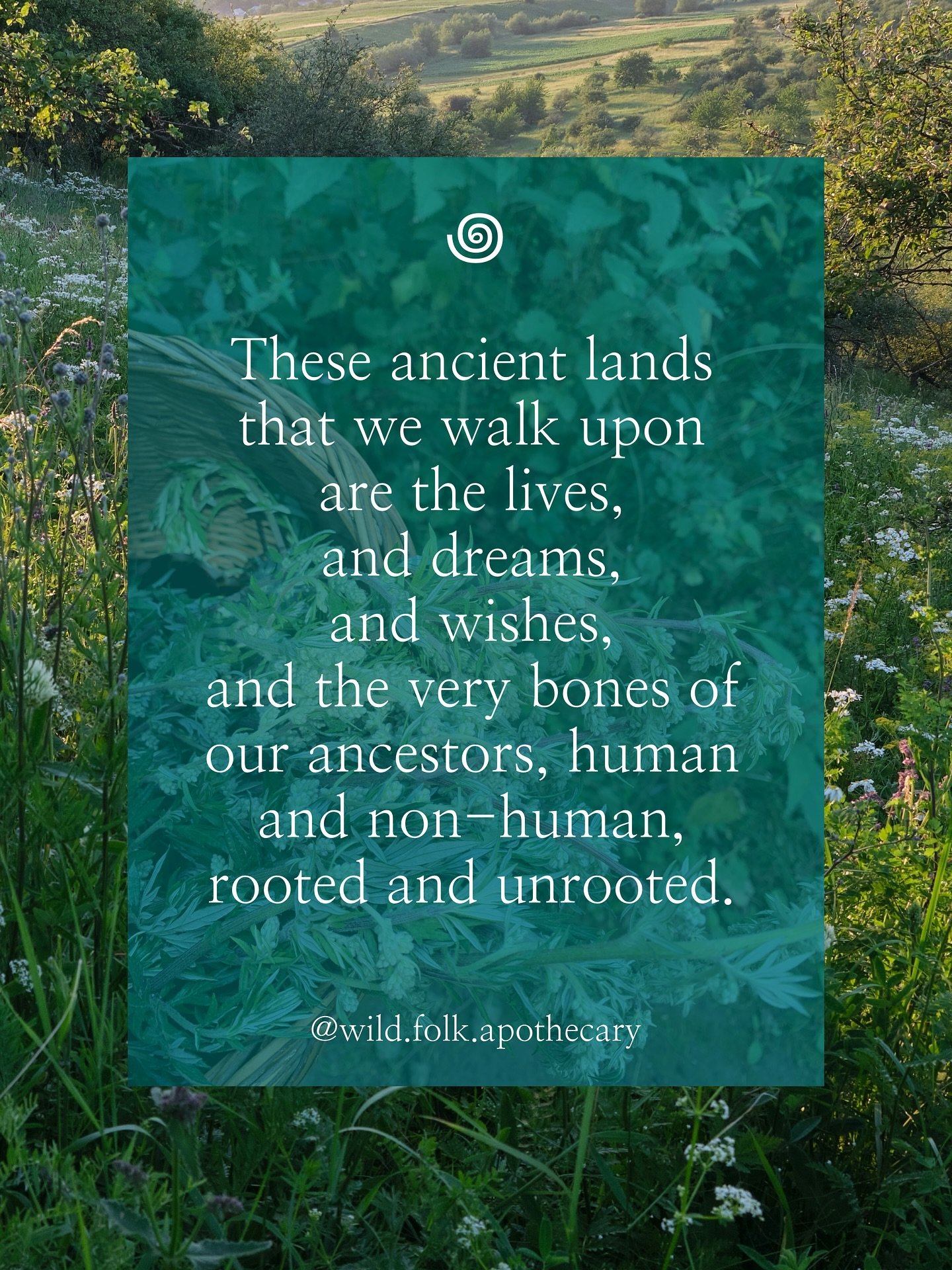 We can reclaim the wisdom held within the natural world if we can only reconnect, reclaim, and remember who we are: natural beings who have been forcibly separated and disconnected from our natural ways of being.

Visit @wild.folk.apothecary for many