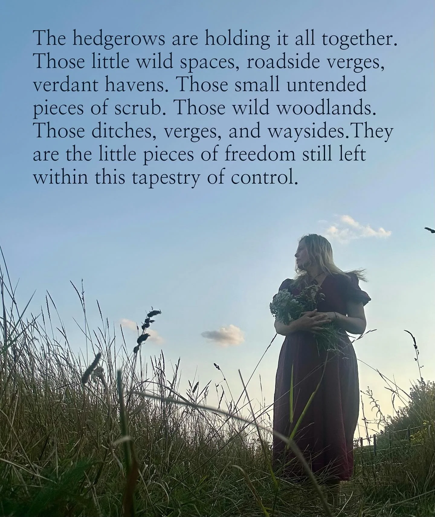 Let us be more like the hedgerows.

Wild Folk offerings to help you remember:

Rewilding the Self - A free course in the foundations of nature connection

Foraging, Wild Medicine &amp; Folklore walks in Lavenham, Suffolk

Mugwort - Moon Matriarch - a