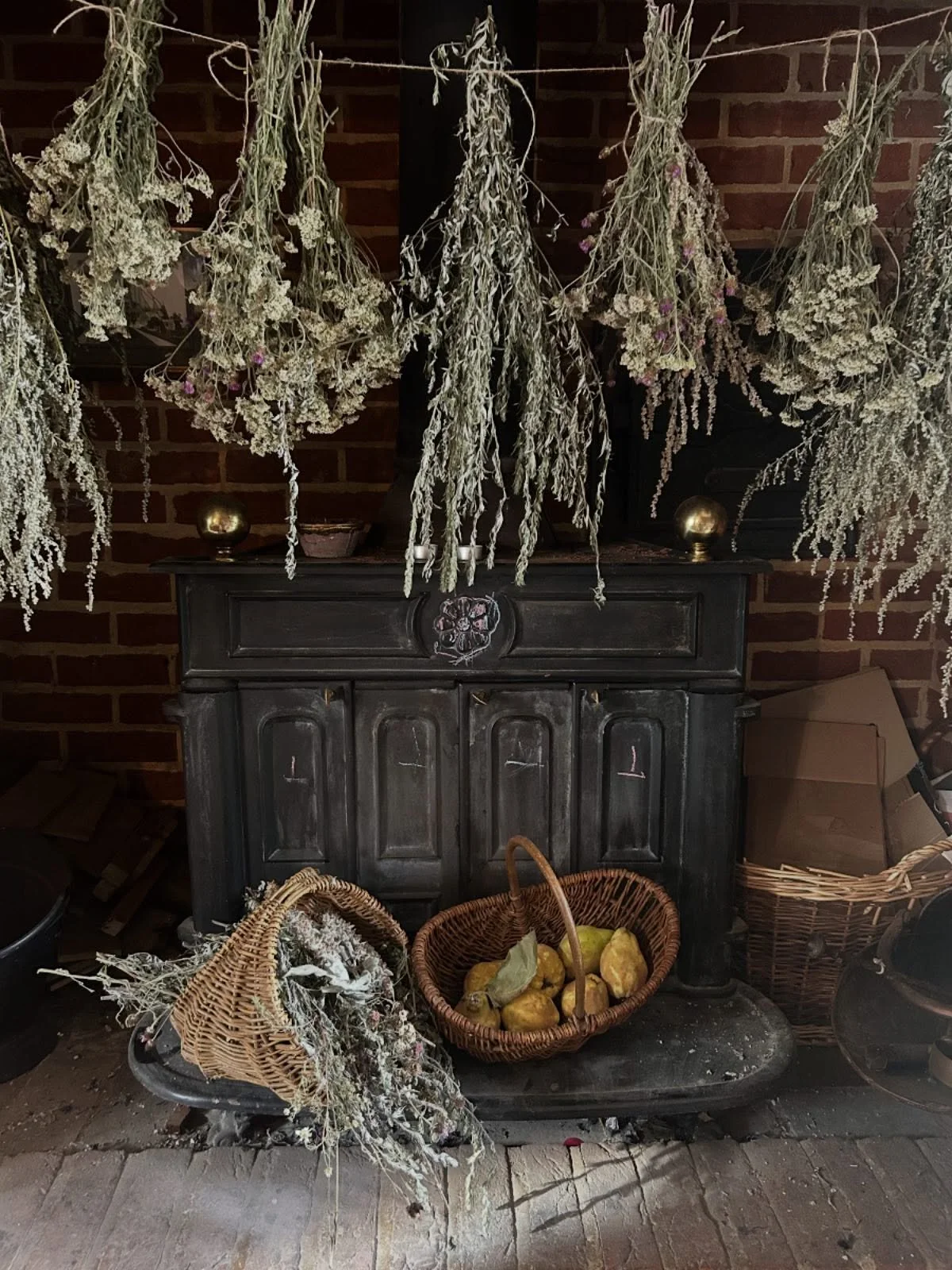 There is much folklore associated with the sour quince, which was sometimes buried with the dead to ensure safe onward travel into the realms beyond. The quince is a divine offering, the forbidden fruit, the golden apple of myth and legend. 

The qui