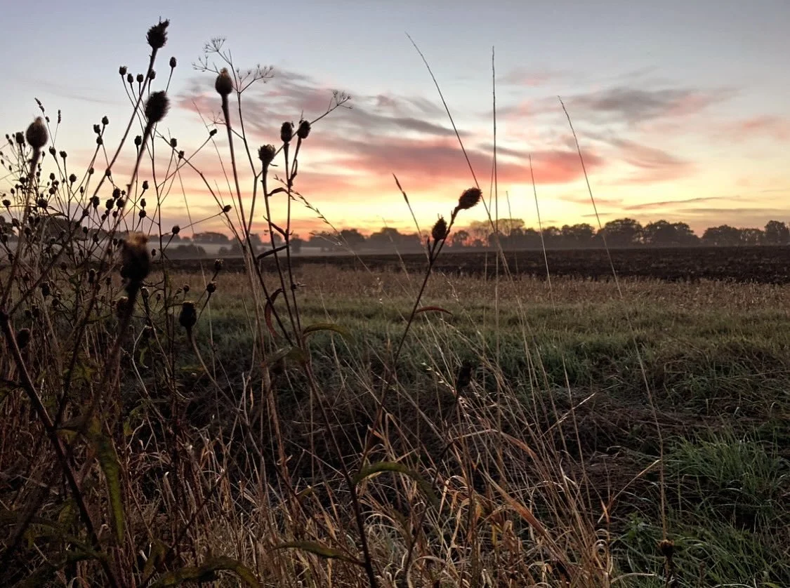 There&rsquo;s an almost imperceptible yet deeply profound seasonal shift in the air. Felt only in early morning as the chill starts to creep towards the edges of the day and the dew begins to cling on a little longer. We are now in the liminal space 