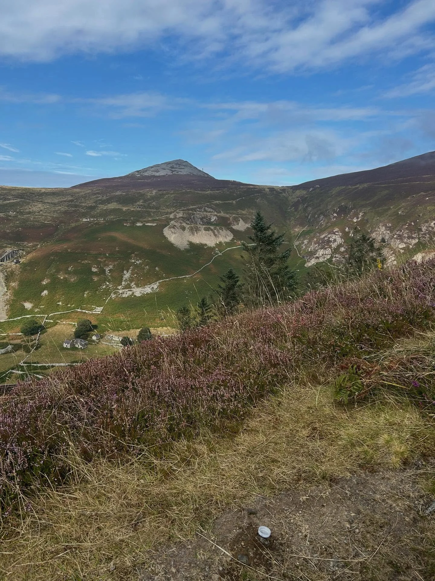 What would it mean to reclaim indigeneity on our lands as an act of rebellion?

When I speak of our lands I speak of all lands, lands that belong to no-one and no-thing. Lands that are understood as autonomous beings in and of themselves. Lands that 