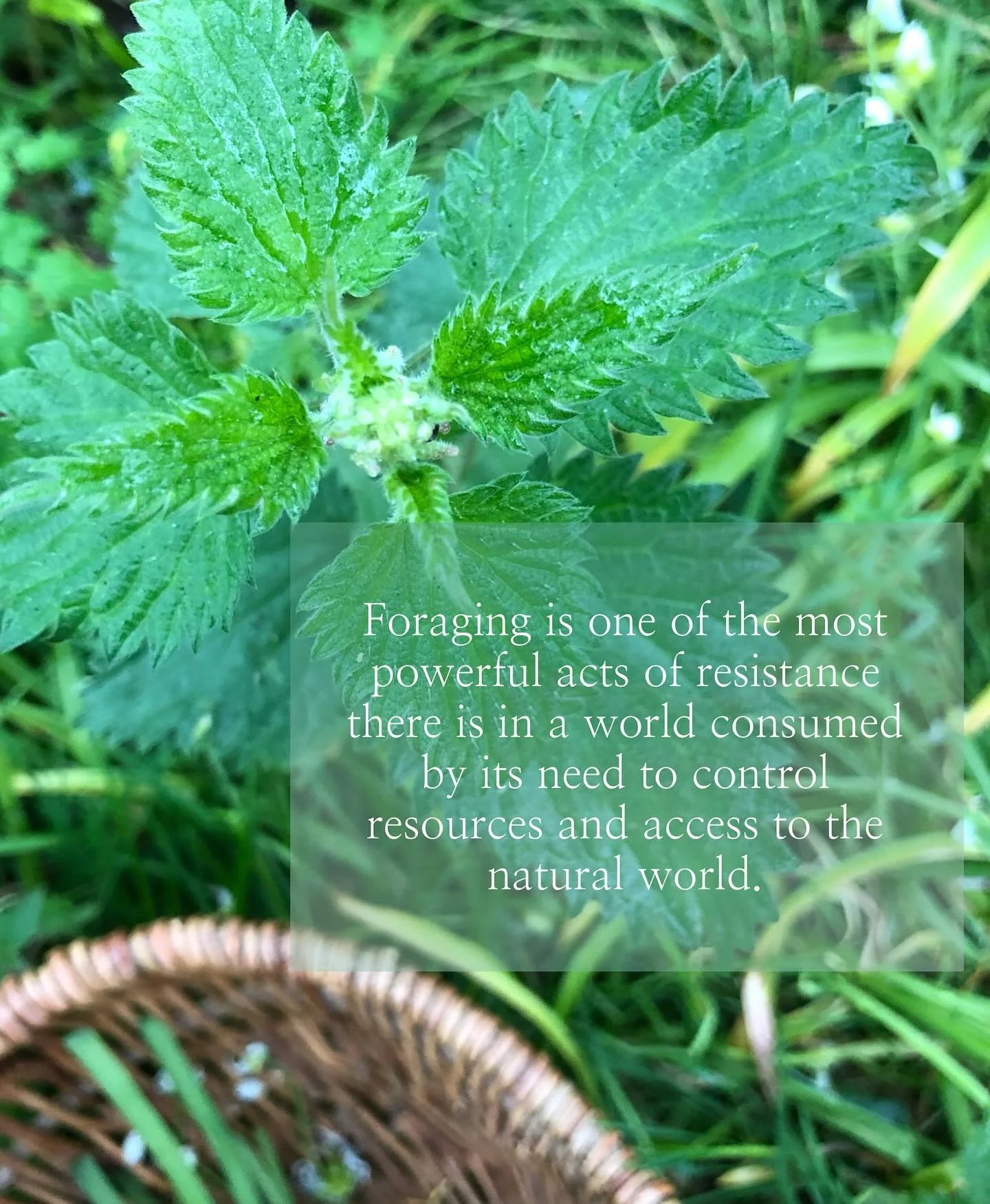 To attempt to control human access to the natural world is to cut us off from an essential part of ourselves. It is to sever our hearts from the vital force of nature which runs through our veins. 

The narratives which set humans apart from nature d