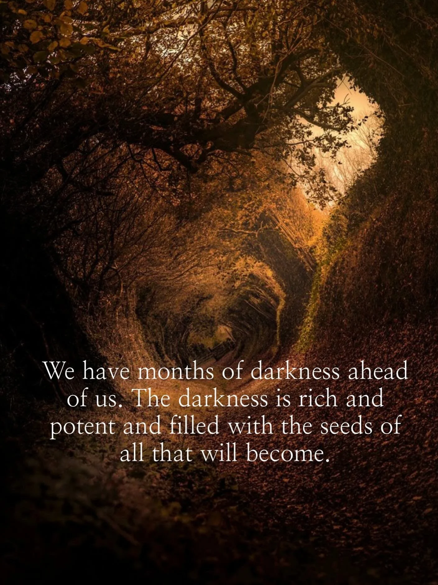 The focus of this time is of alignment with the life force energies as they swirl between sun and Earth, leaves and soil, feathers and fire. 

It is a time of allowing the liminal in to change us, resonate with us, and prepare us for the long sleep o