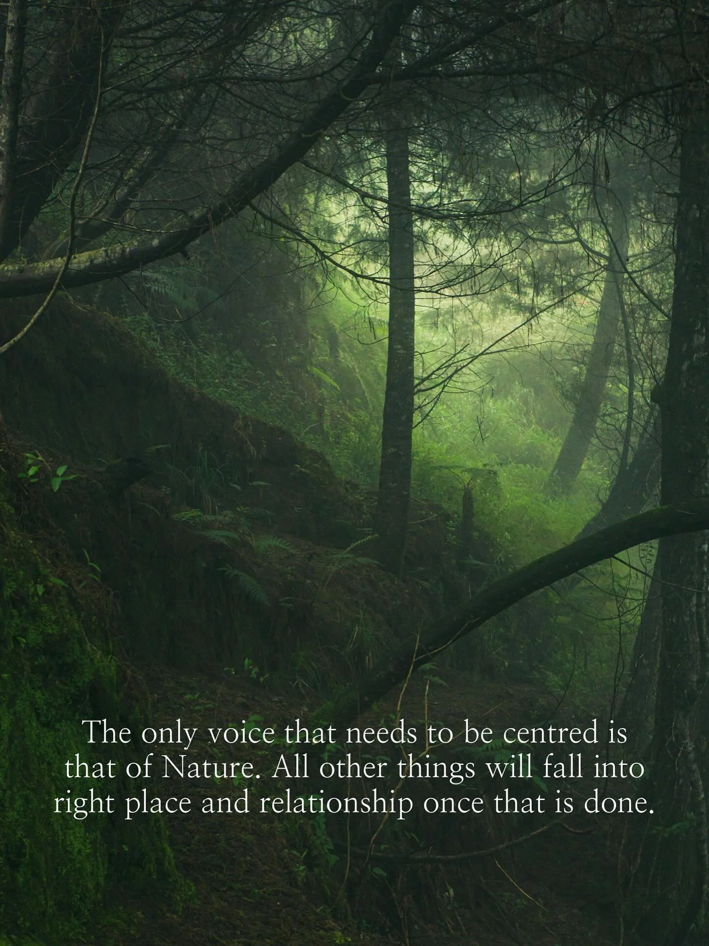 When we de-centre the anthropocene and its false hierarchies from our discourse on freedom, change, and transformation, we find that the true voices of equality rise to the surface, wash over the land, and restore the proper order of things.

Now is 