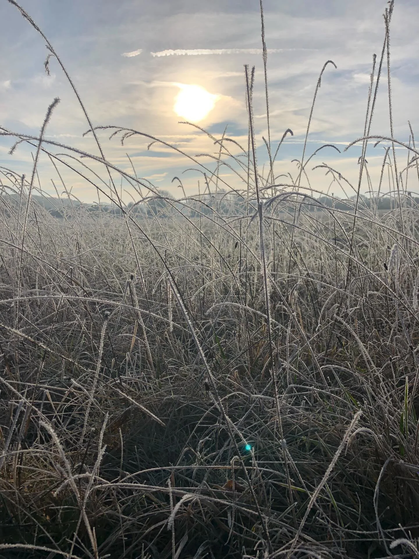 The frost speaks to me of stillness, of being and holding the still point within the tumult. The centre. The still point within us being reflected in the still point of the year. 

The cold can make us tense up, become brittle, shatter and disintegra