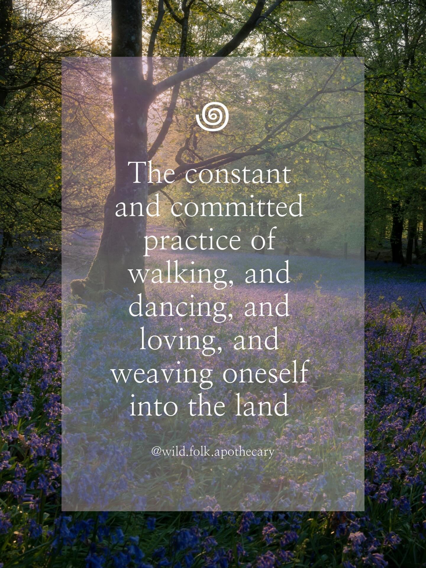It is a state of being in constant devotion to the Earth. 

When we truly align with nature, as who we are, inside and out, illusion falls away. We are fullness, and sunlight, and dirt.