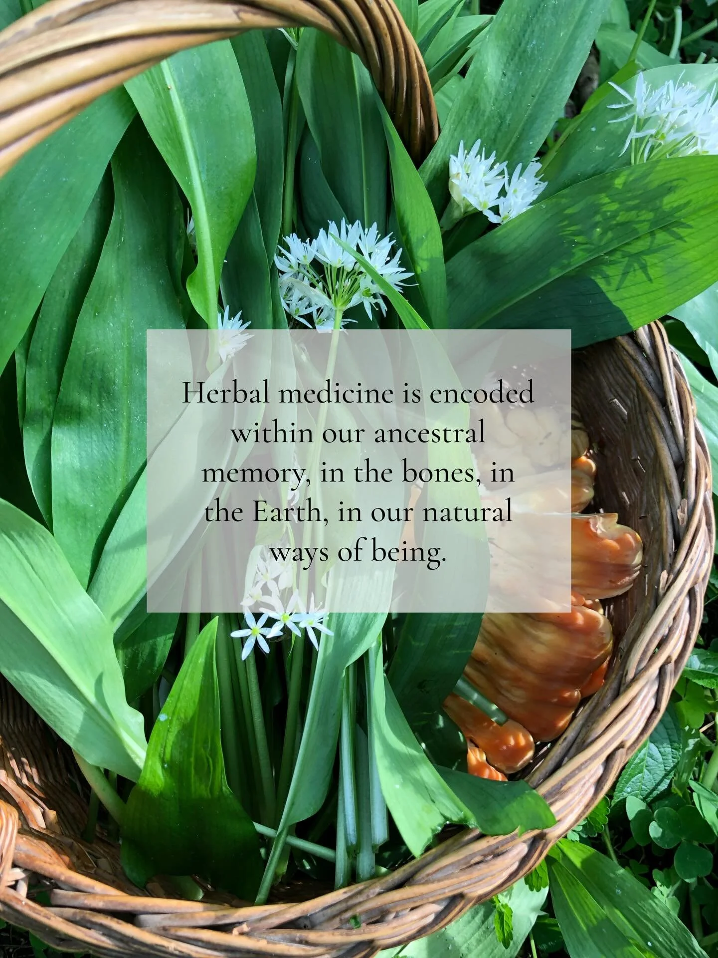 How can we be whole if we look to the synthetic for answers to the problems of our natural lives in a natural world? 

It is time to turn back to the loving embrace of the earth, she is waiting with open arms for your remembering.