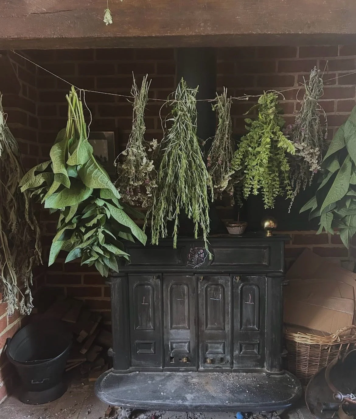 Foraging is one of my first loves. There is no better practice of connection and remembering than nourishing yourself and the land with your heartfelt presence. 

Foraging for food and medicine with care, reverence, respect, and connection is our bir