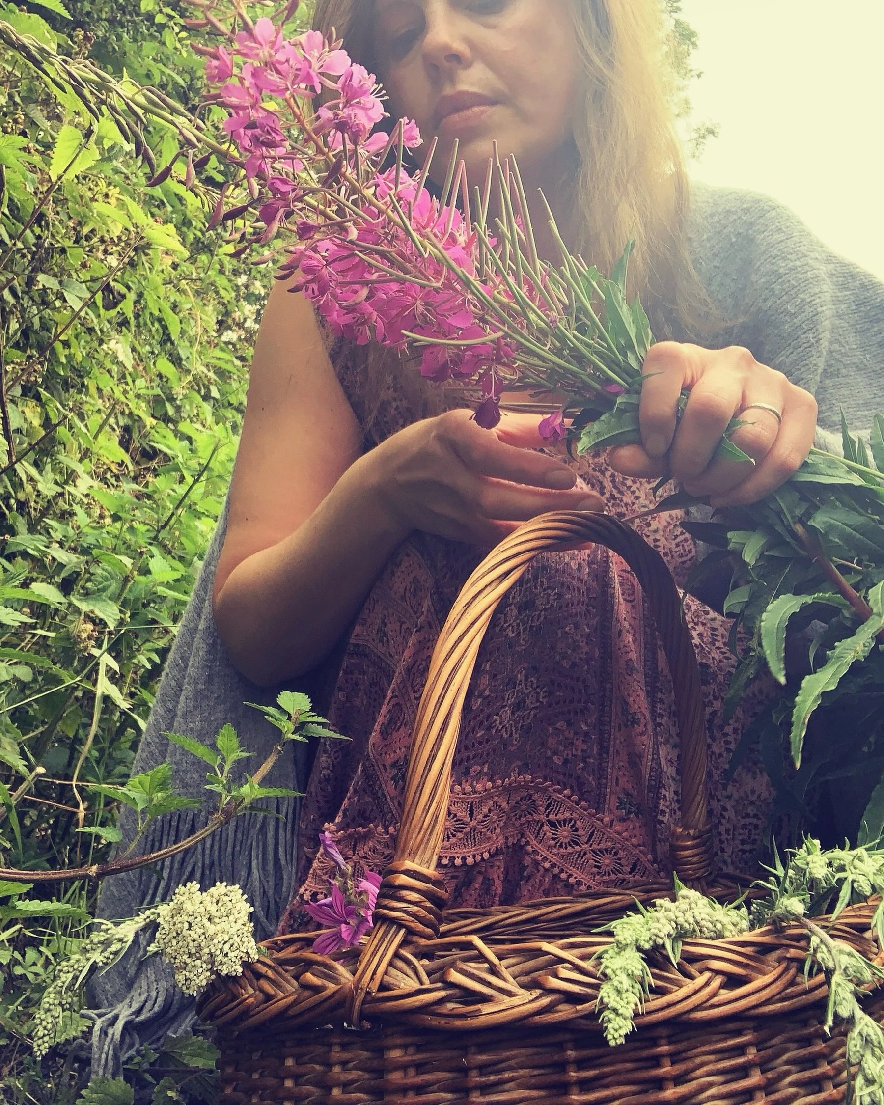 For long years I have walked this path of green, but it has not made me tough. It has not made me hardy or thick skinned. It has softened me in ways I never expected. It has introduced me to a wild patch within my soul, a meadow which is a great sola