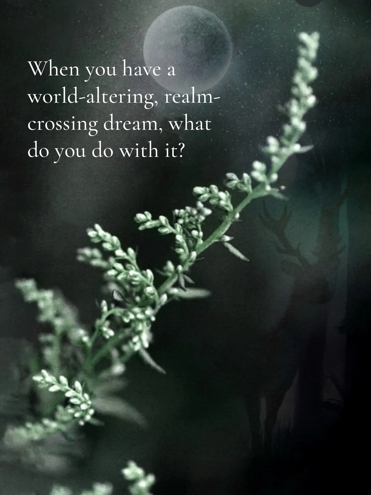 On this new moon the energies of transformation are strong. 

What did you dream of last night? I dreamed of water, swimming dogs, unexpected gifts, and houses with no walls.

I go much deeper into all of this in Mugwort- Moon Matriarch, a journey th