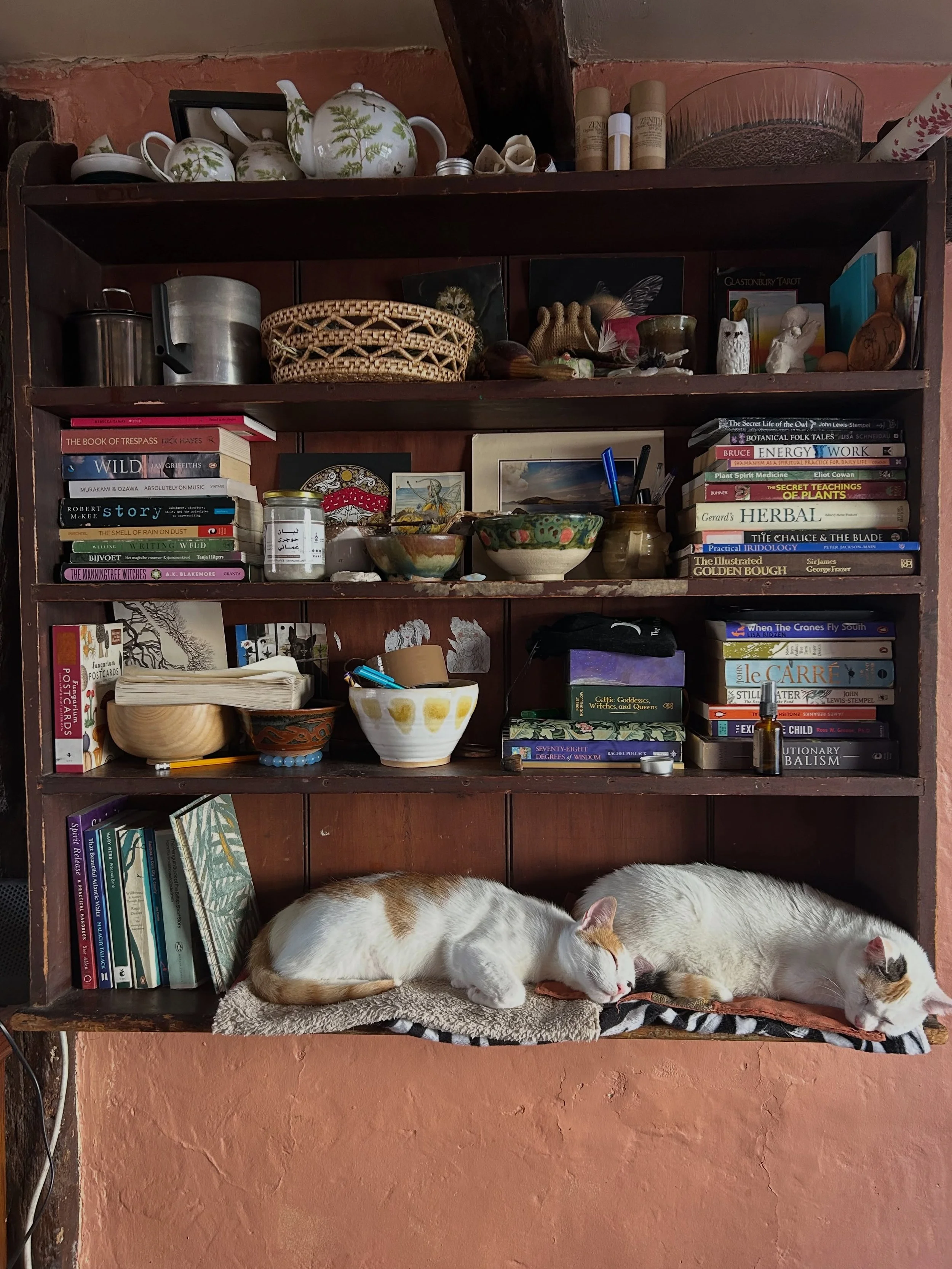 Summer in the cottage. 

The cats threw everything off the shelf so I made them a bed there, and they stopped. 

The herb garden is still giving me all the nettles I can eat. The more you harvest the more they come, lovely nettles. 

My second book i
