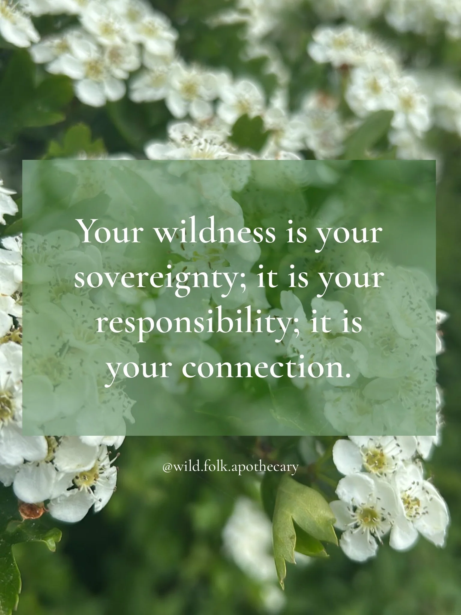 My work here is to introduce people to that place within them, to wipe away the dust and to polish the mirror, to find and cultivate the sacred space within which will hold you always on the path of resonance.

There are many offerings at @wild.folk.