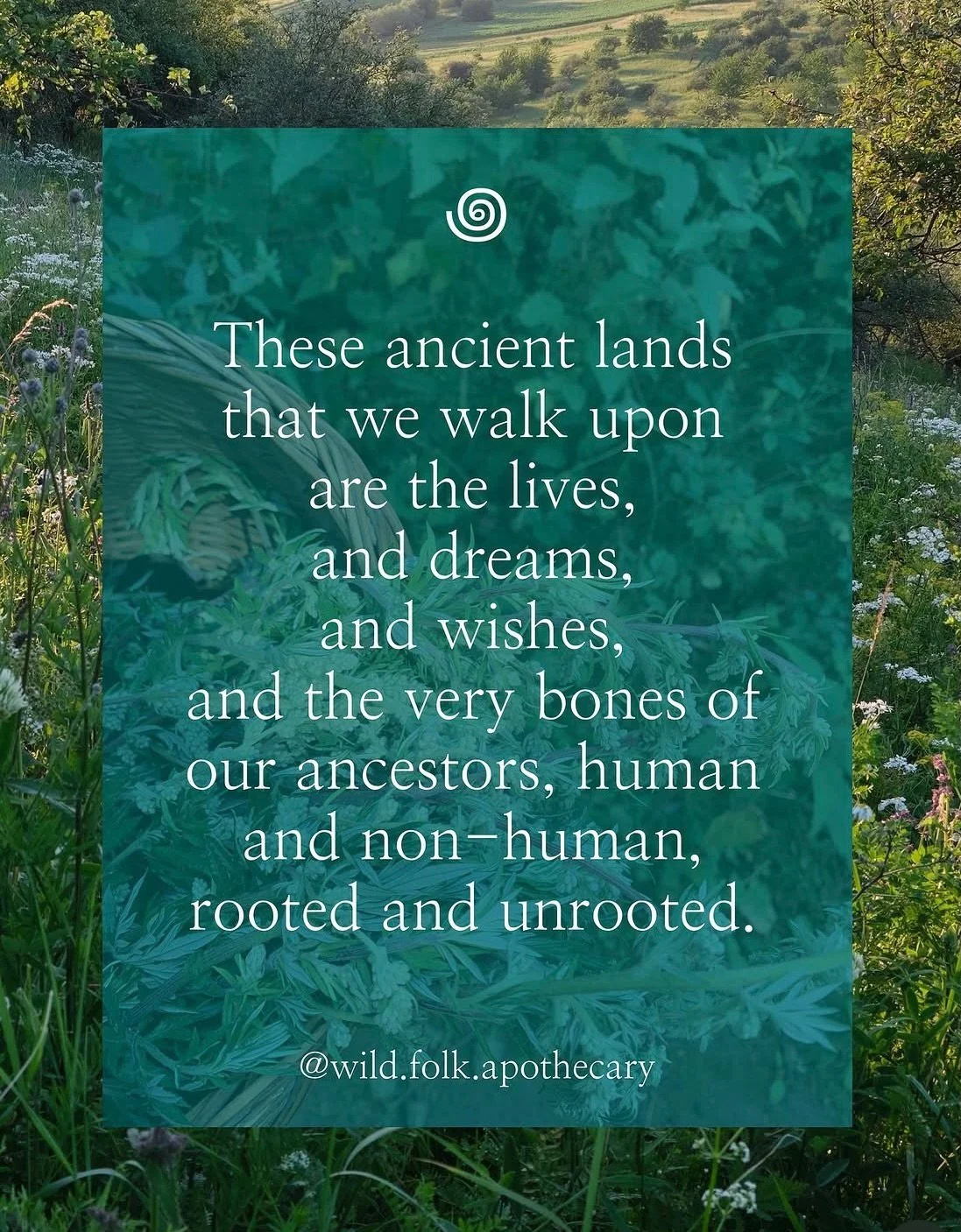 We can reclaim the wisdom held within the natural world if we can only reconnect, reclaim, and remember who we are: natural beings who have been forcibly separated and disconnected from our natural ways of being.

I have a beautiful online course all