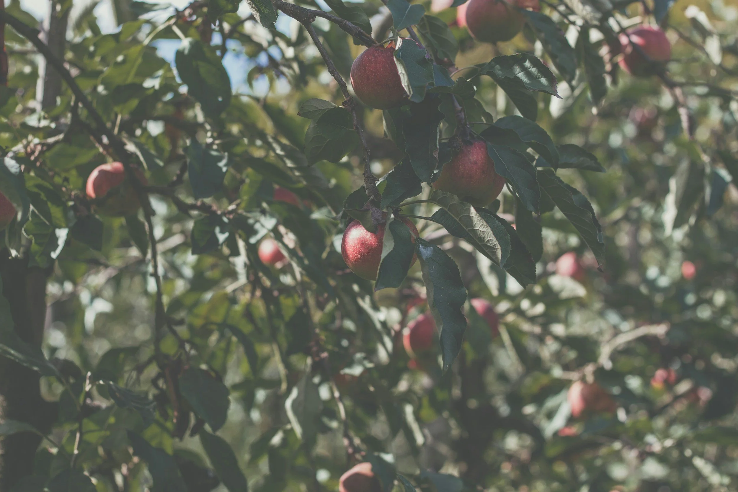 unsplash-image-wDf1Qmd9UUs.jpg