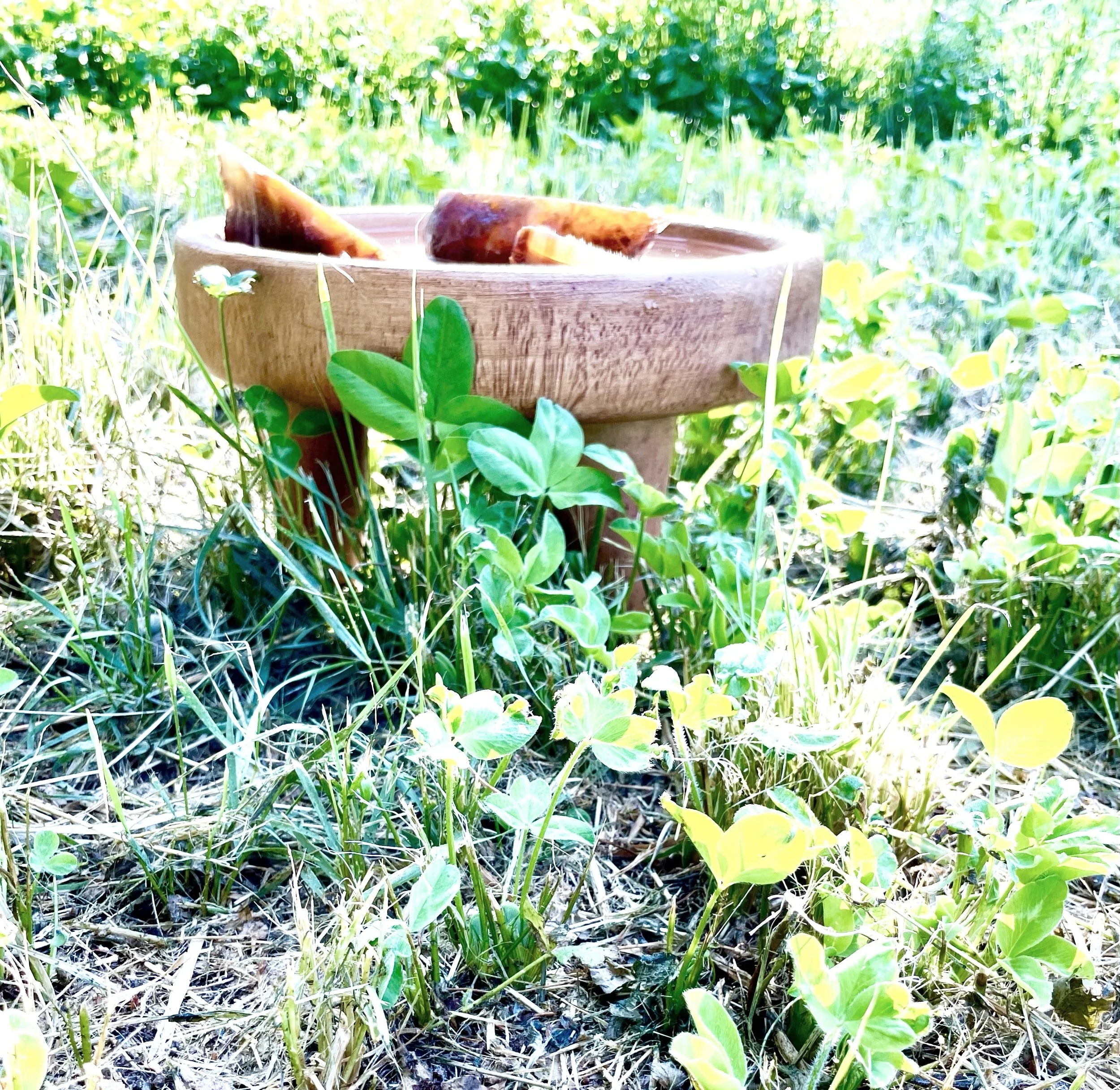 tempImagekOW3Nt.jpg