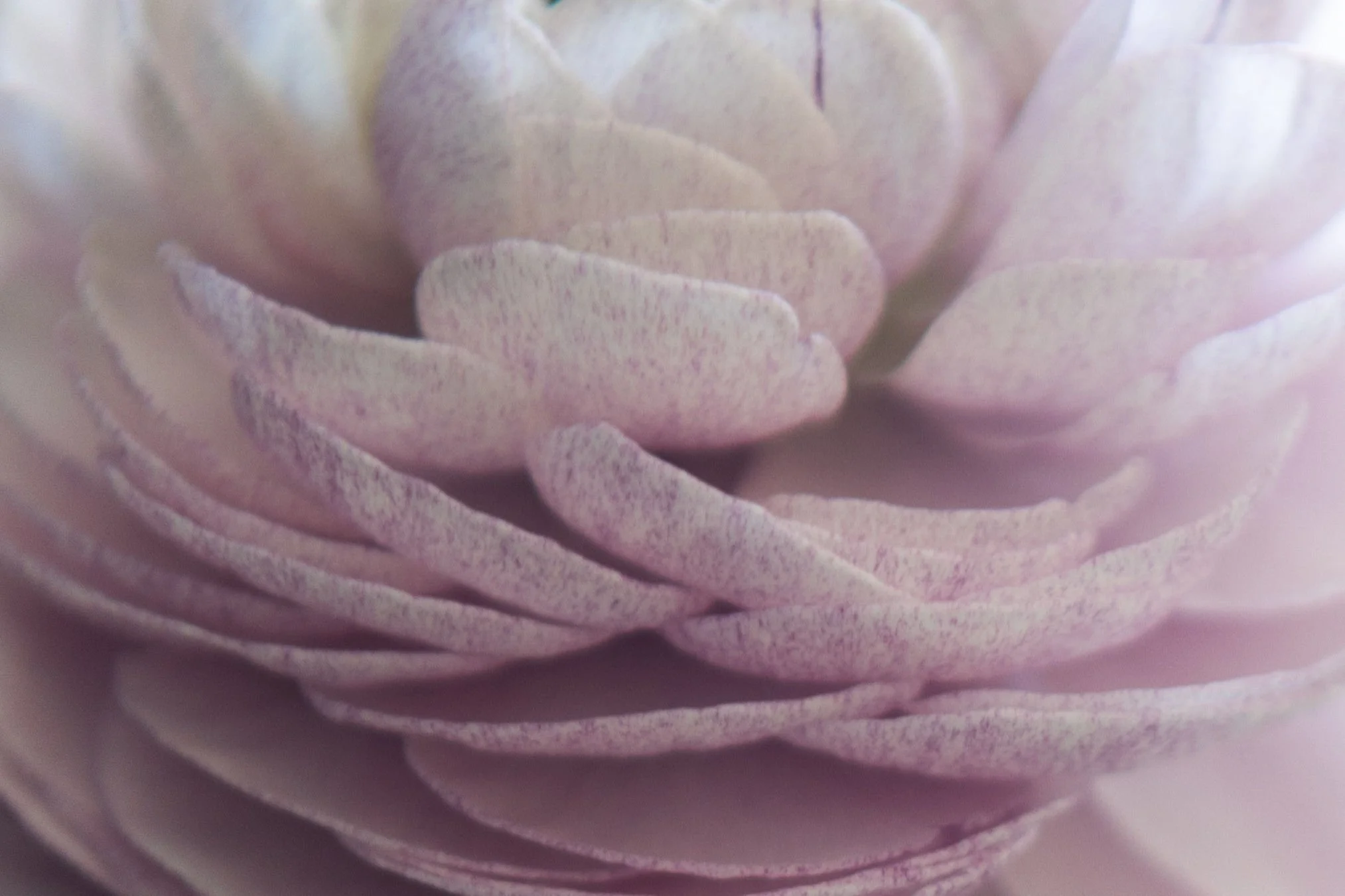 Understanding EMDR: What It Is and How It Can Help