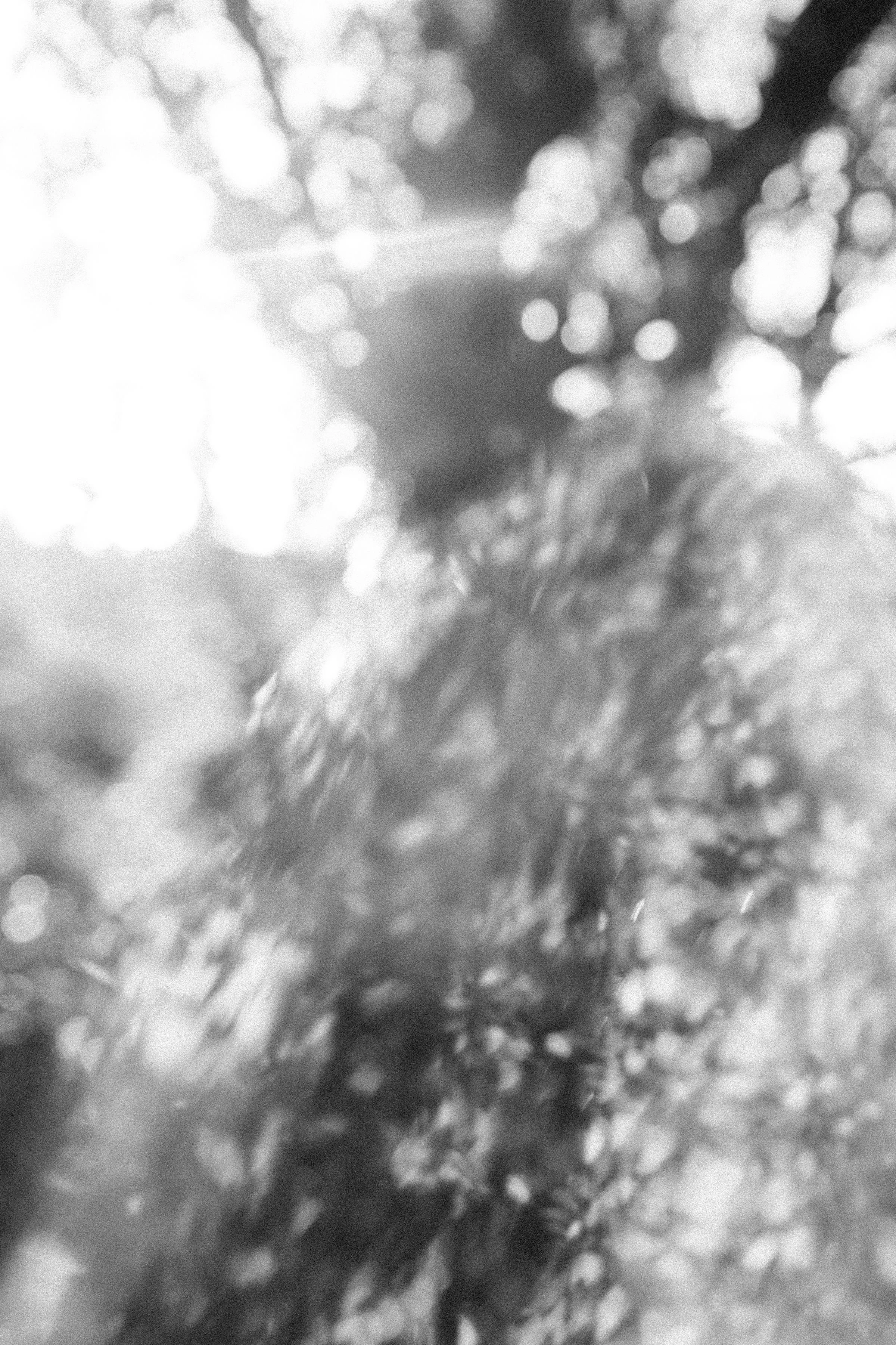 Explaining EMDR to a child (animation)