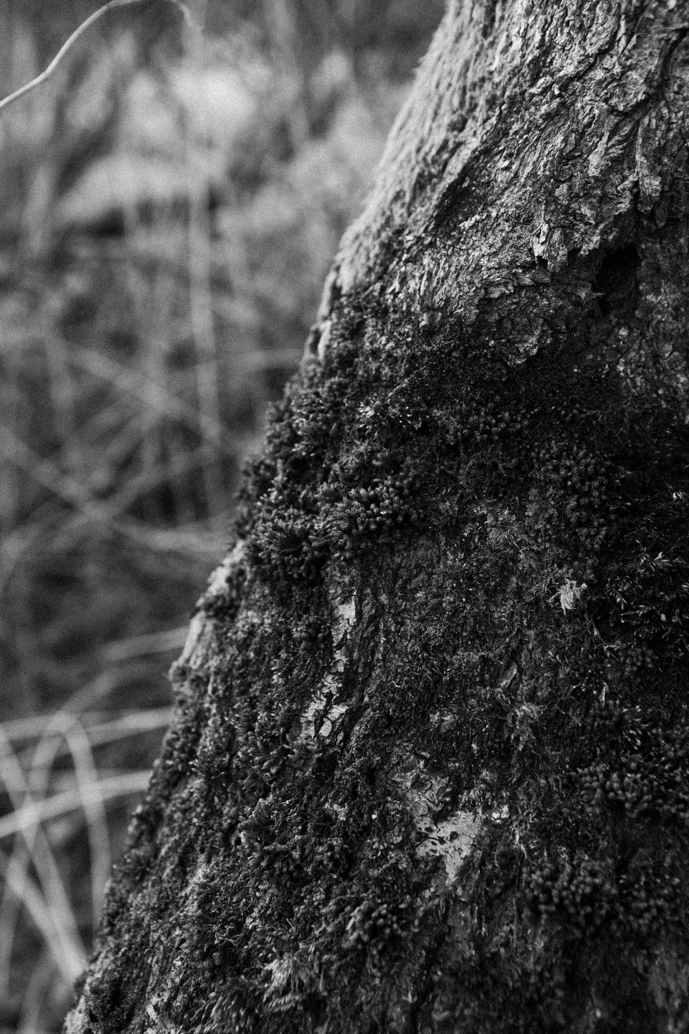 Coping with Trauma-Related Dissociation: Tools for Patients and Therapists