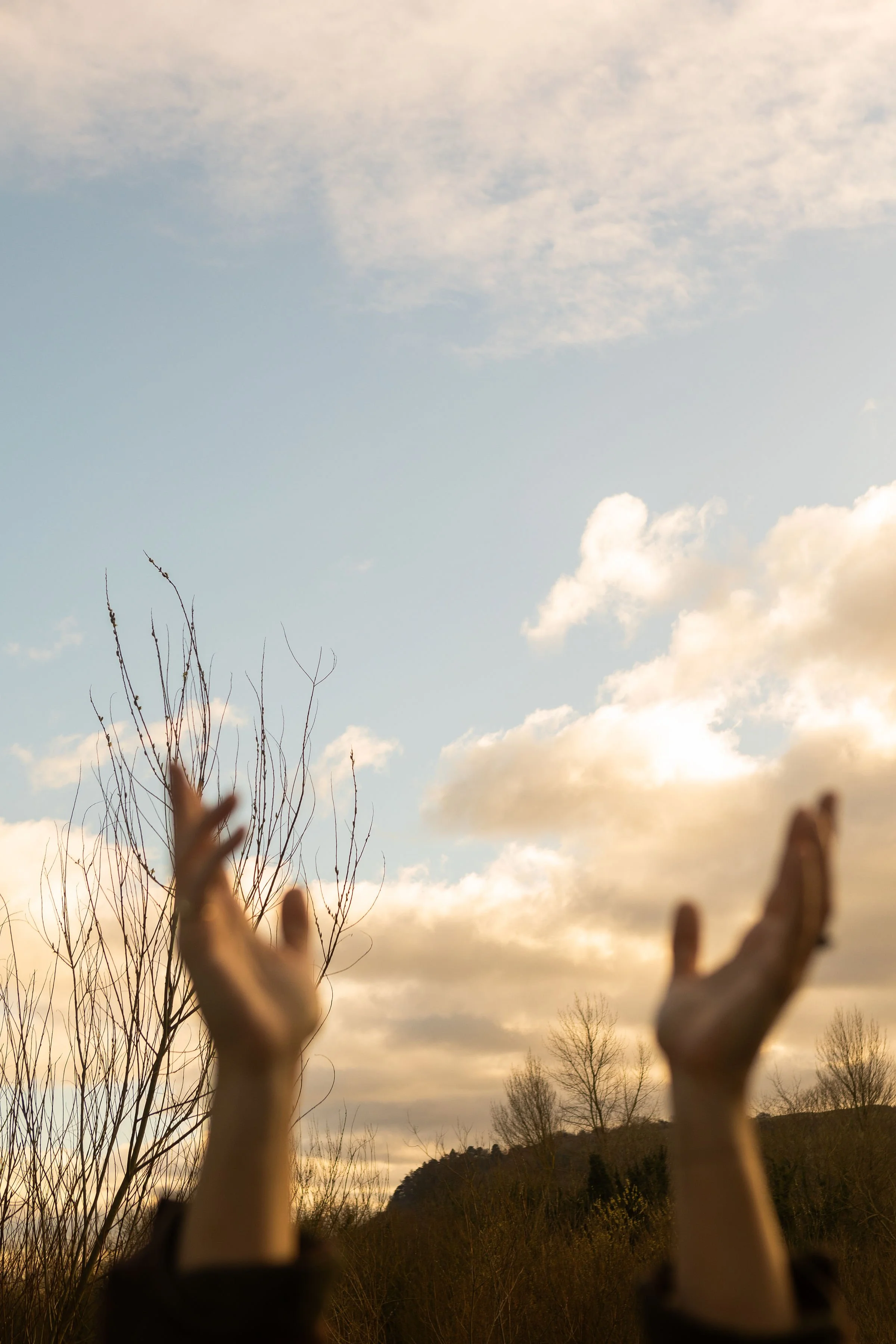 Why Psychedelic Therapy? The Health Benefits of Awe and Wonder