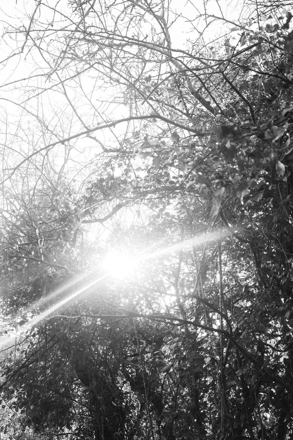 What is EMDR-Europe Accredited Training and why it matters for clinicians