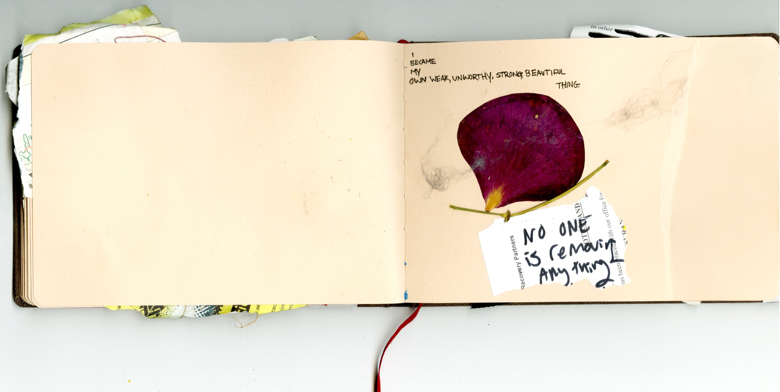 Untitled_Artwork 97.jpg