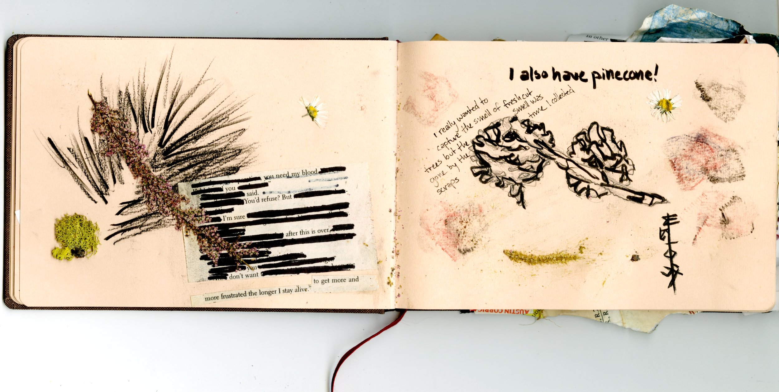 Untitled_Artwork 84.jpg