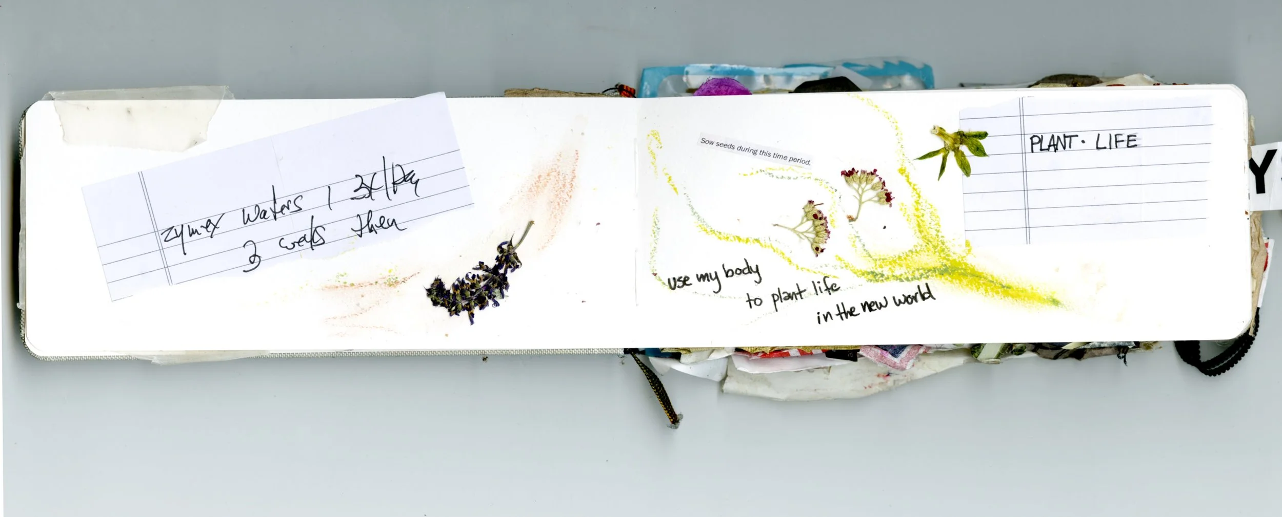 Untitled_Artwork 103.jpg