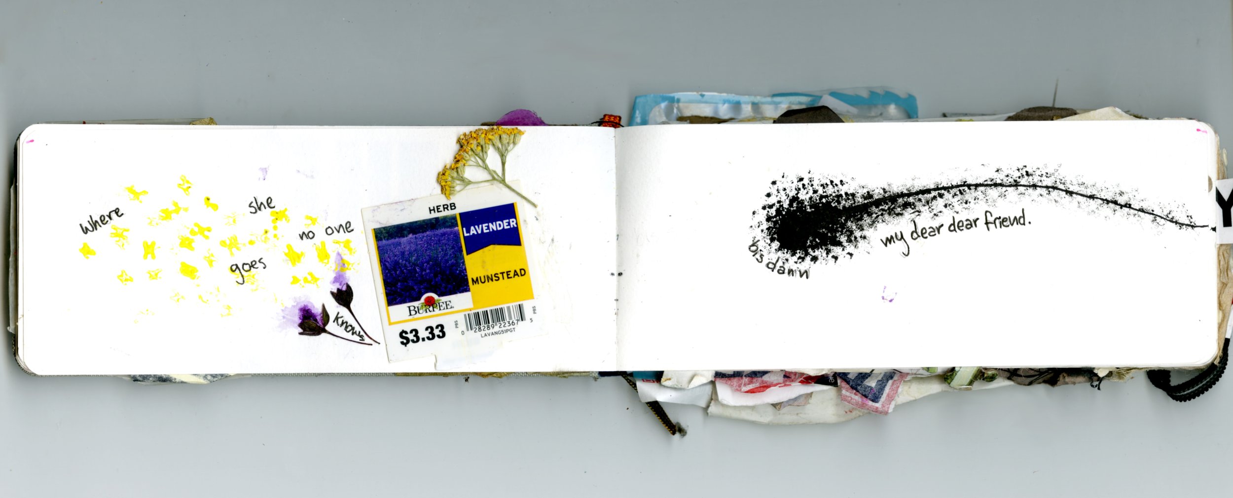 Untitled_Artwork 109.jpg