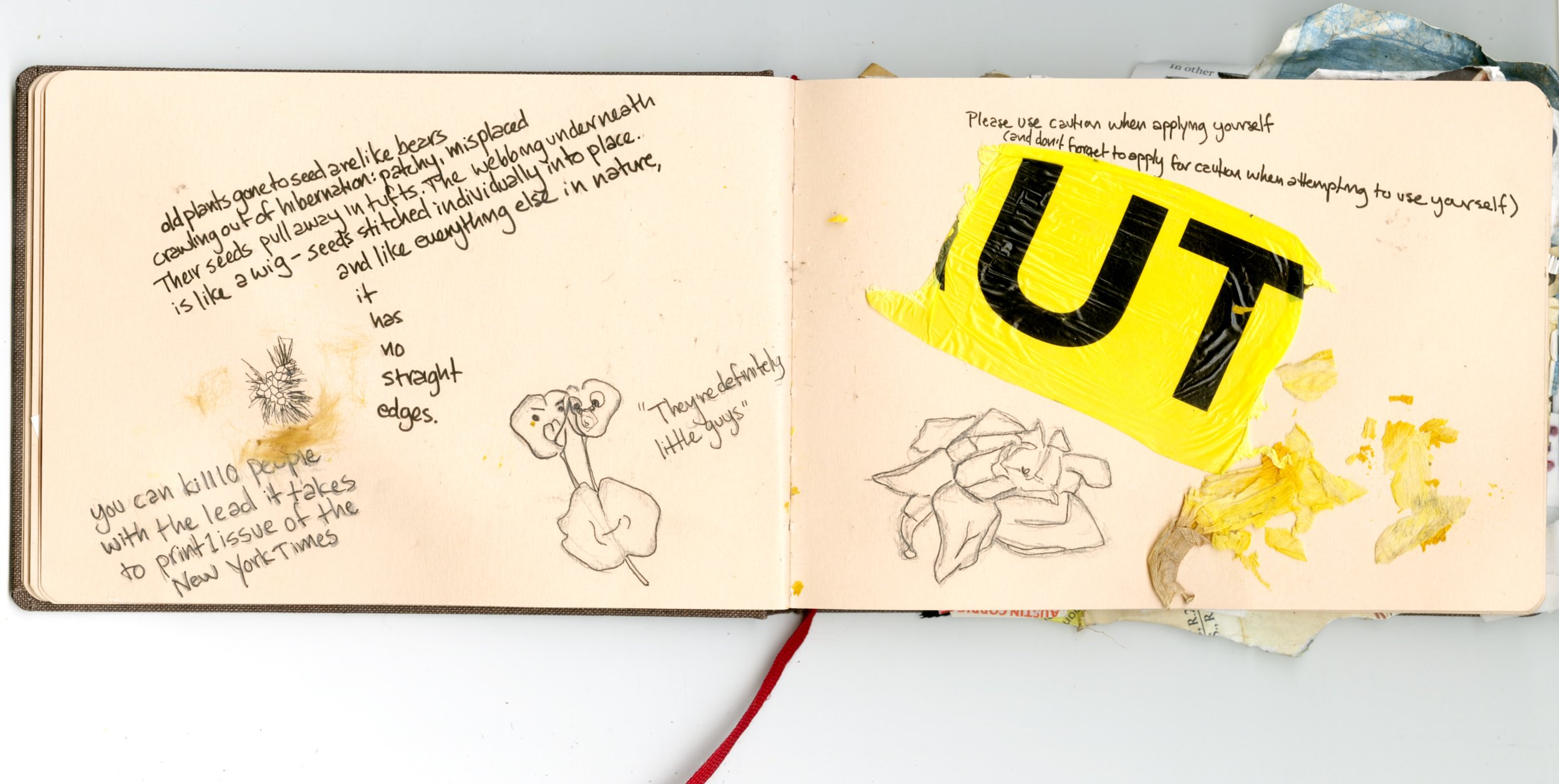 Untitled_Artwork 85.jpg