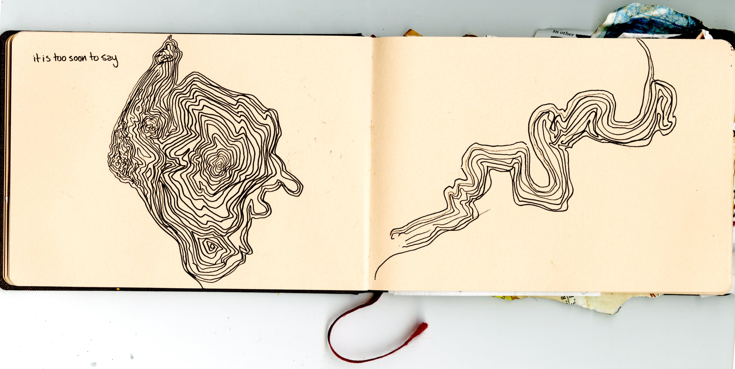 Untitled_Artwork 86.jpg