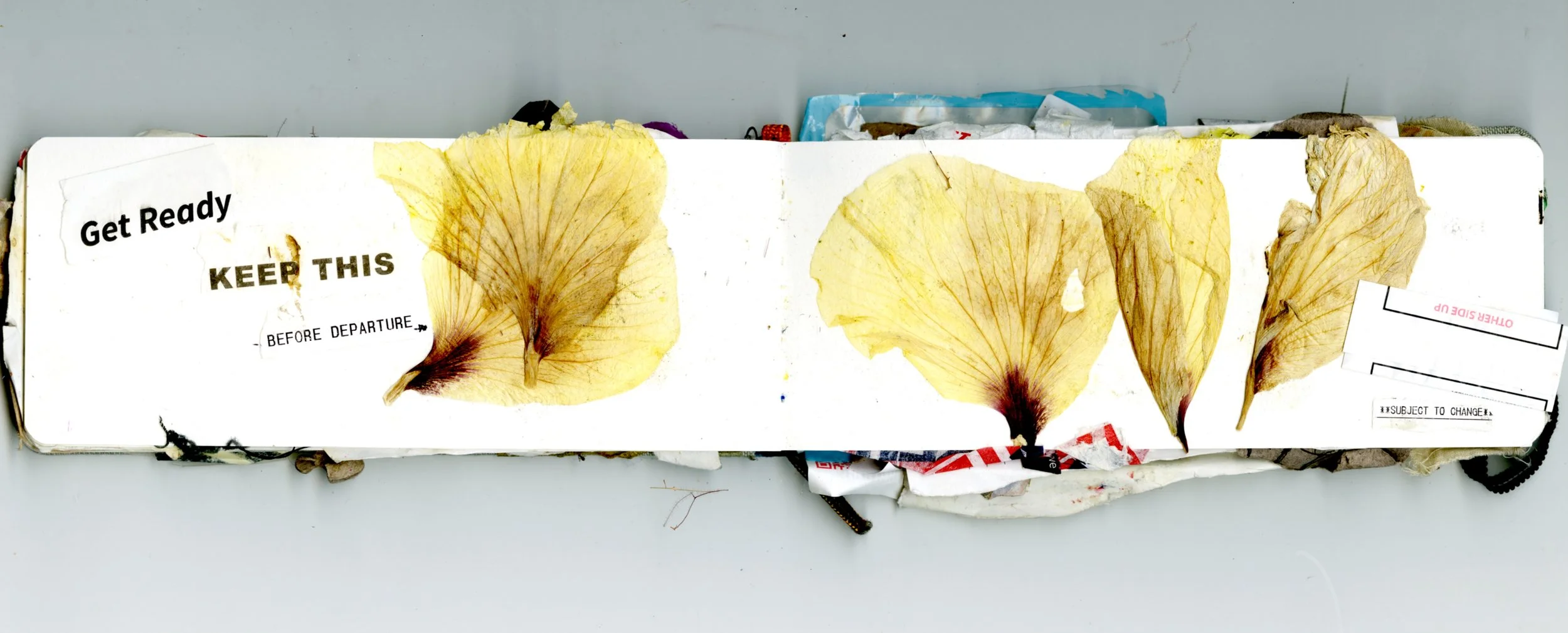 Untitled_Artwork 116.jpg