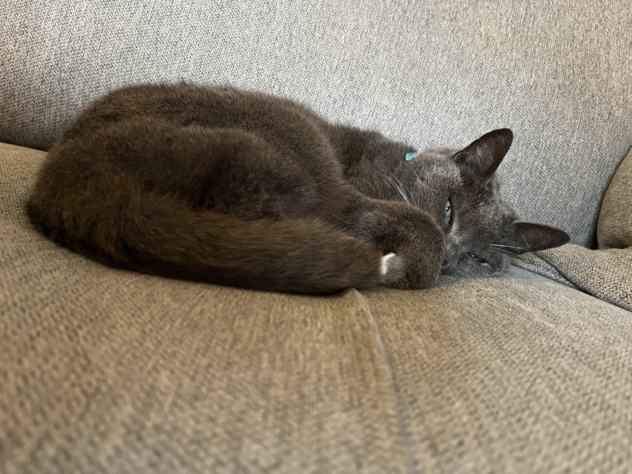 Have we renamed getting old? 