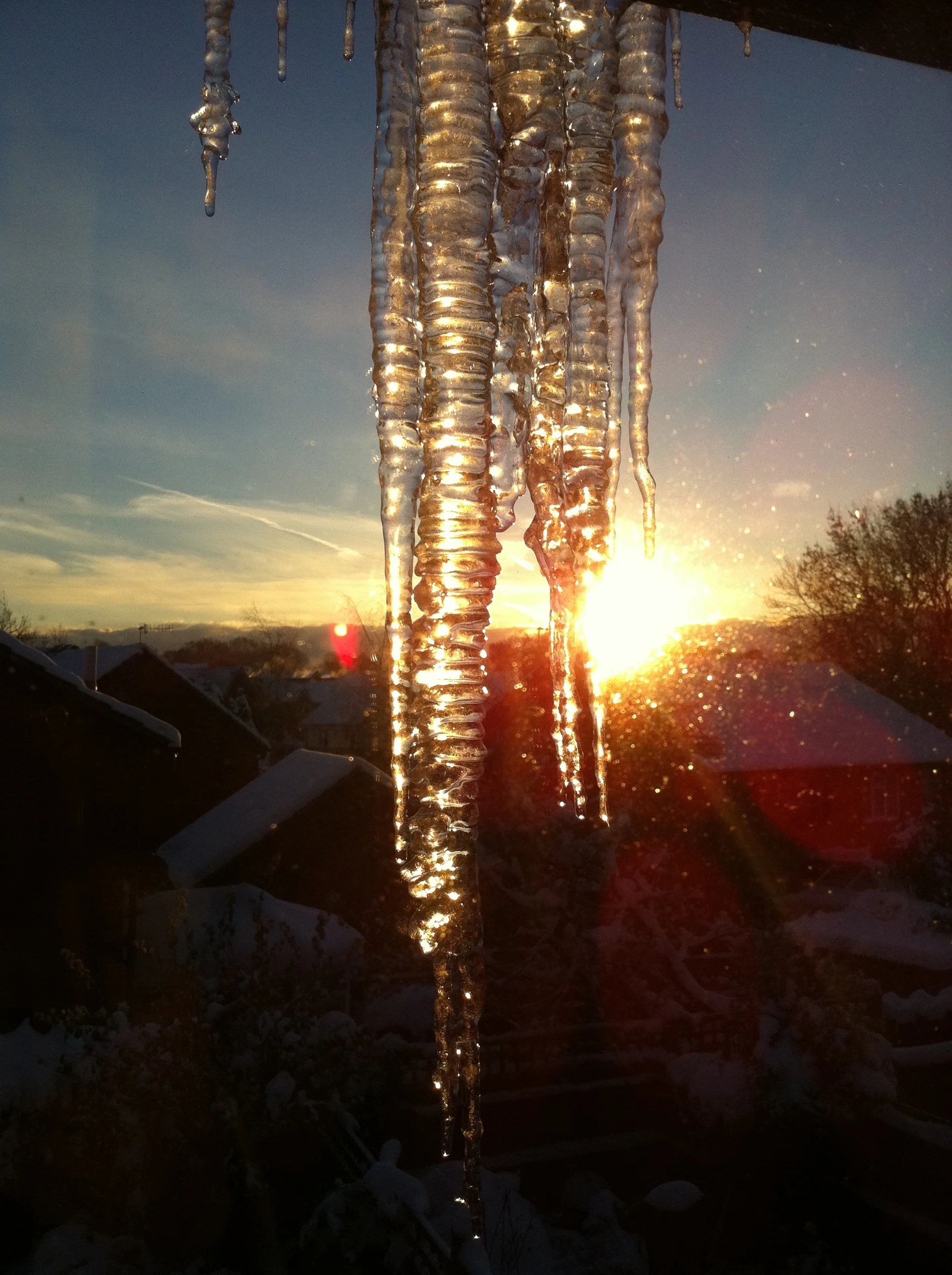 The business of dying.&nbsp;