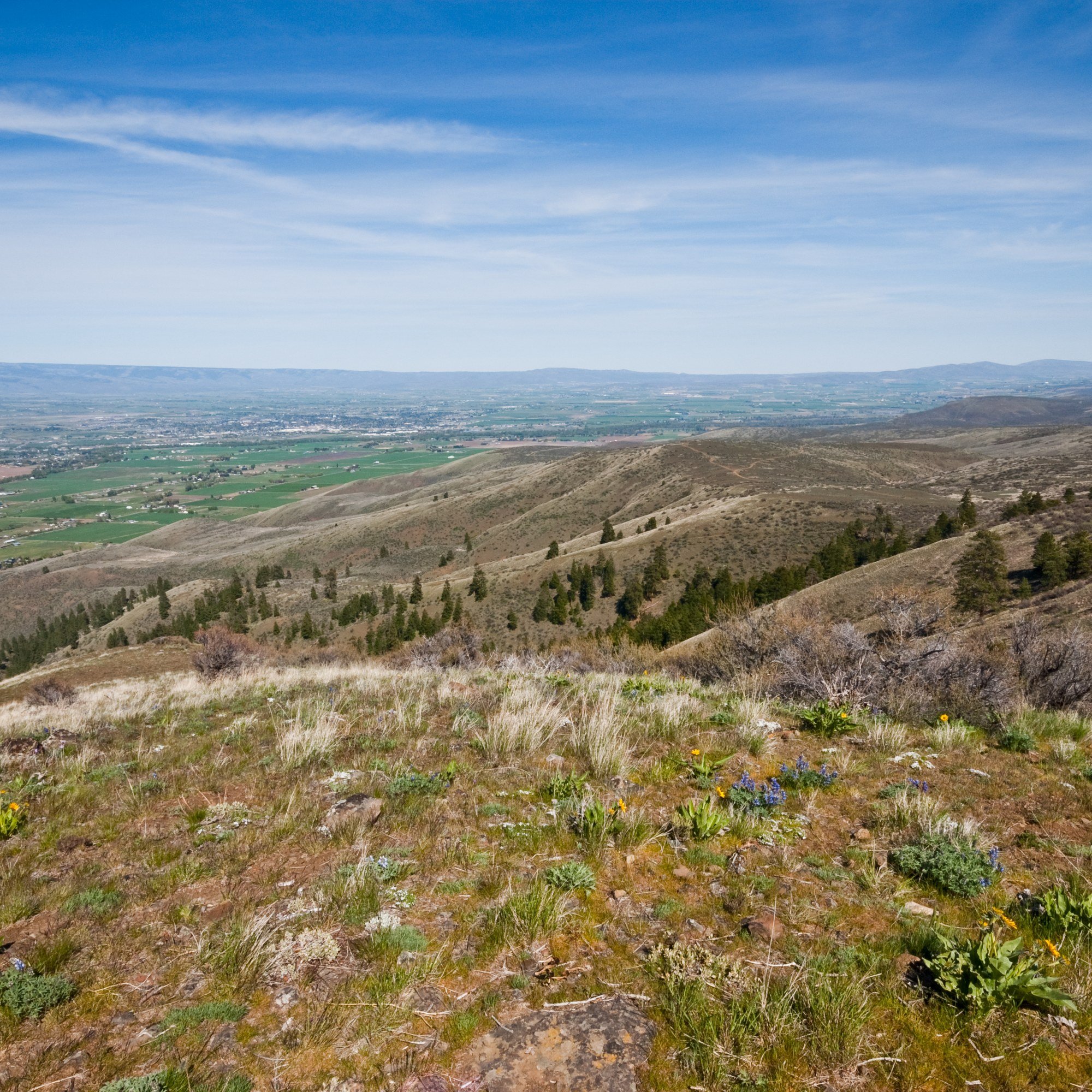 Grassy hills looking out over the Kittitas Valley in Washington.
