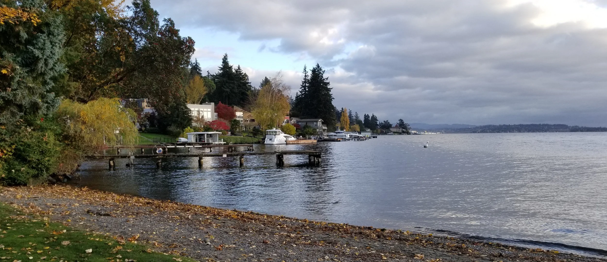 Kirkland, WA