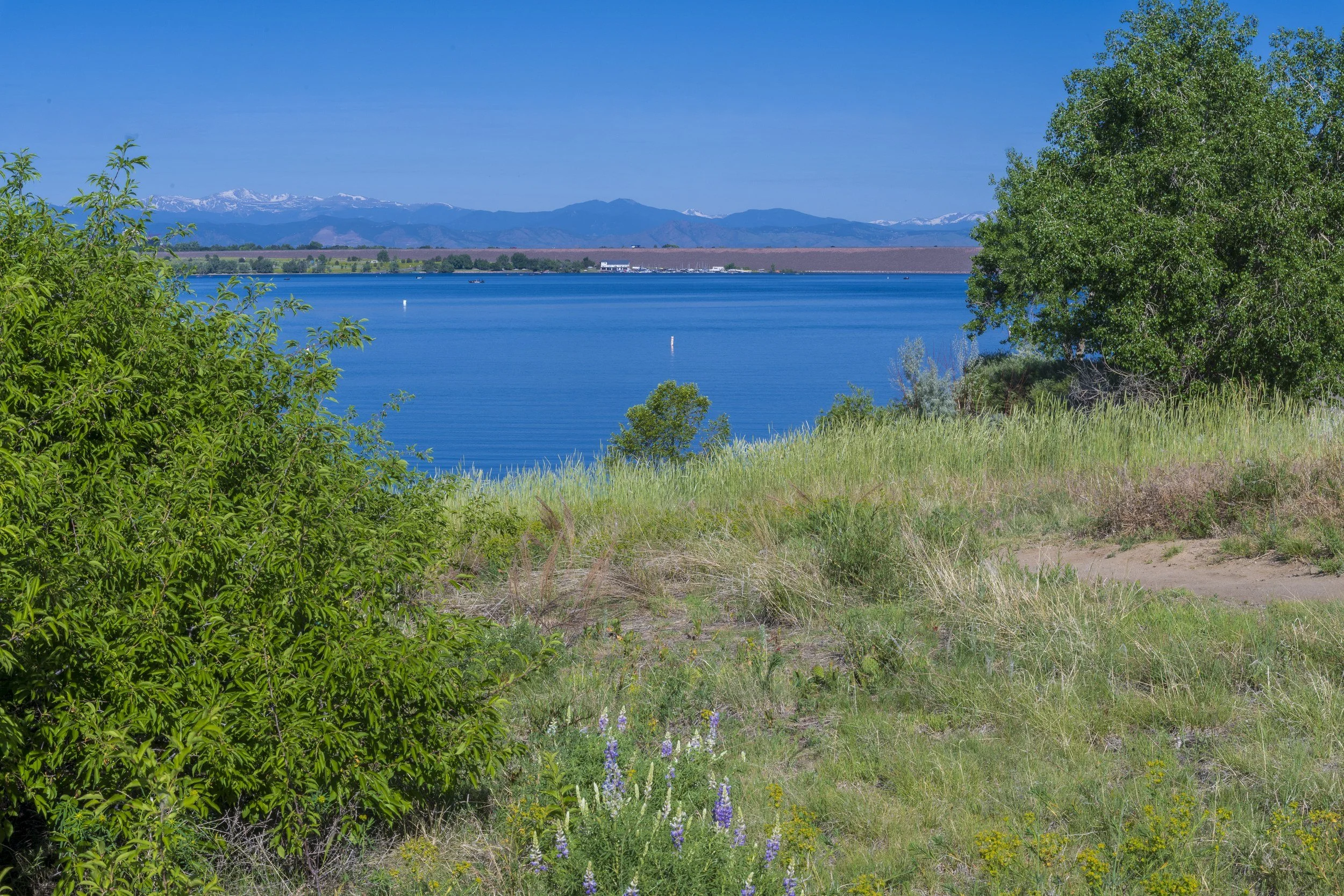 Arapahoe County, CO